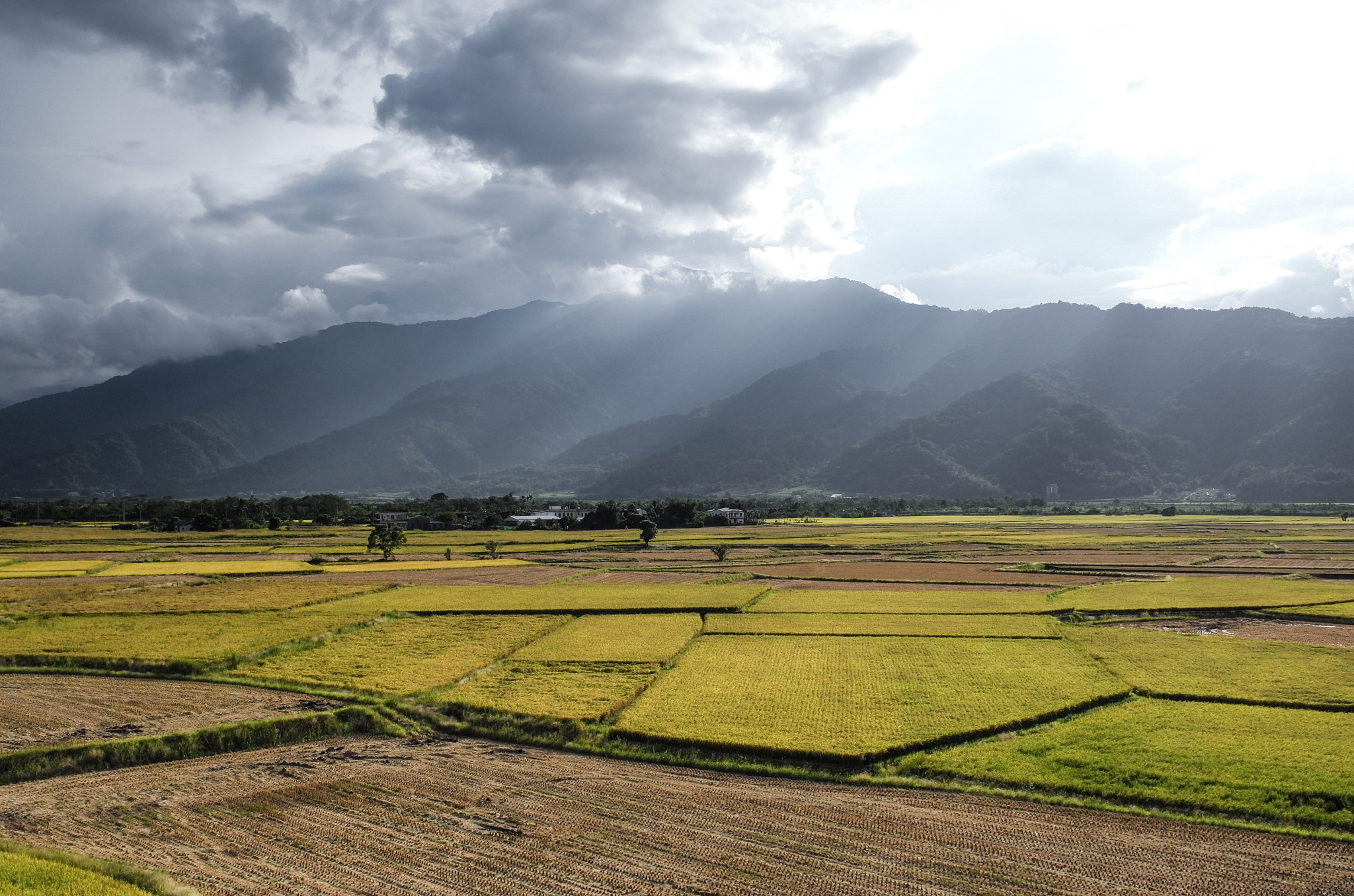 Leica T (Typ 701) + Summicron T 1:2 23 ASPH. sample photo. Harvesting season photography