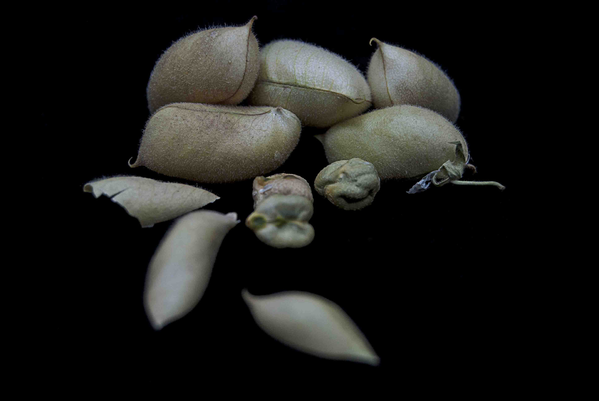 Nikon D80 sample photo. Low key photography