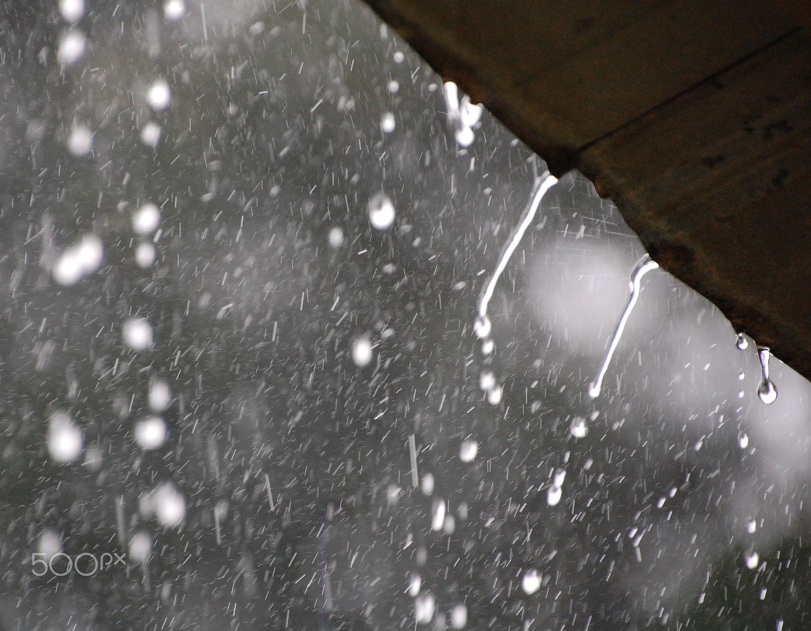 Nikon D40 sample photo. Rainfall two photography