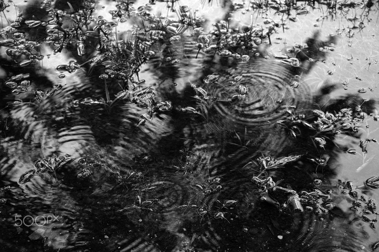 Nikon D40 sample photo. Ripples photography