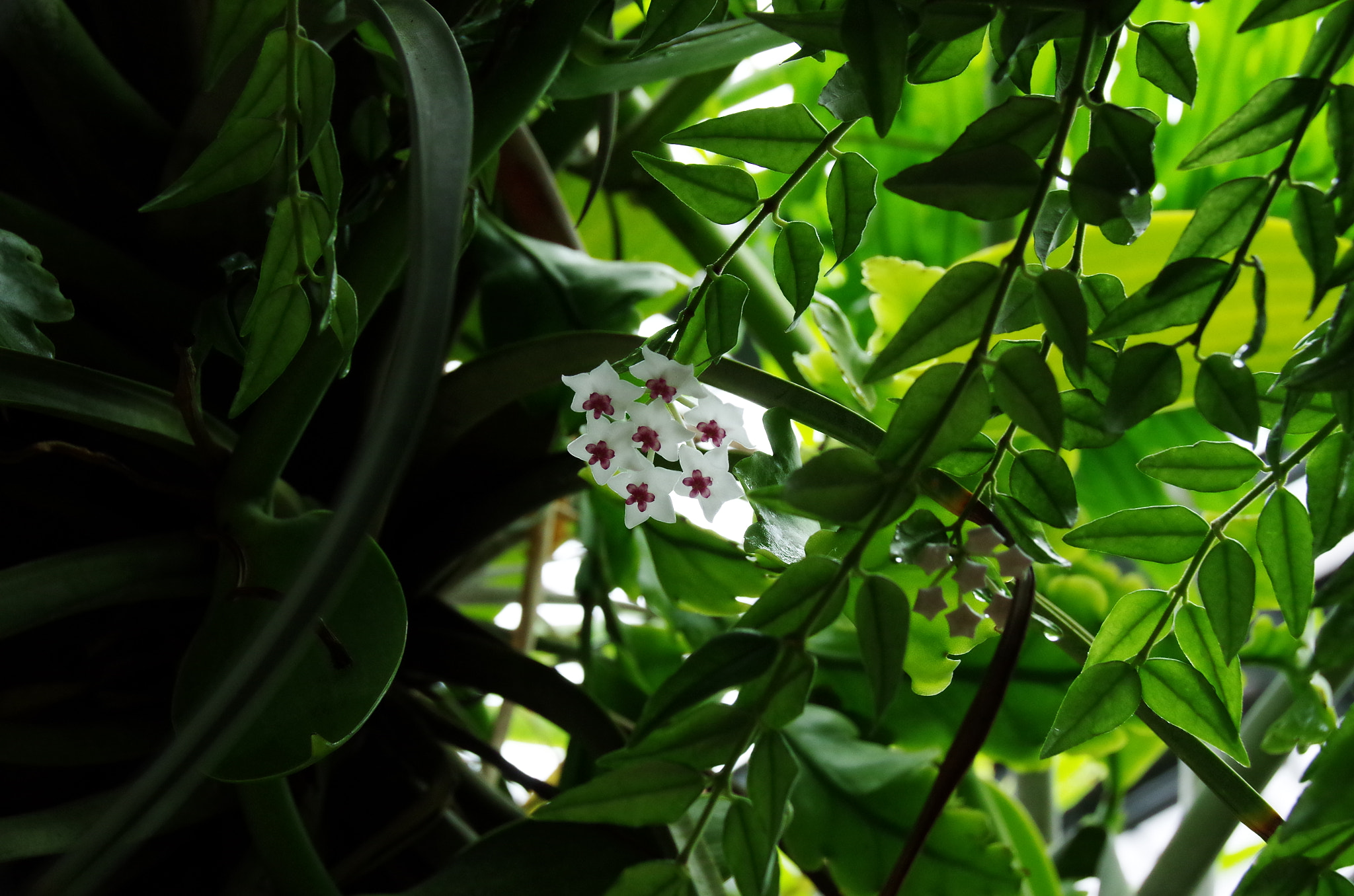 Sigma 18-250mm F3.5-6.3 DC Macro OS HSM sample photo