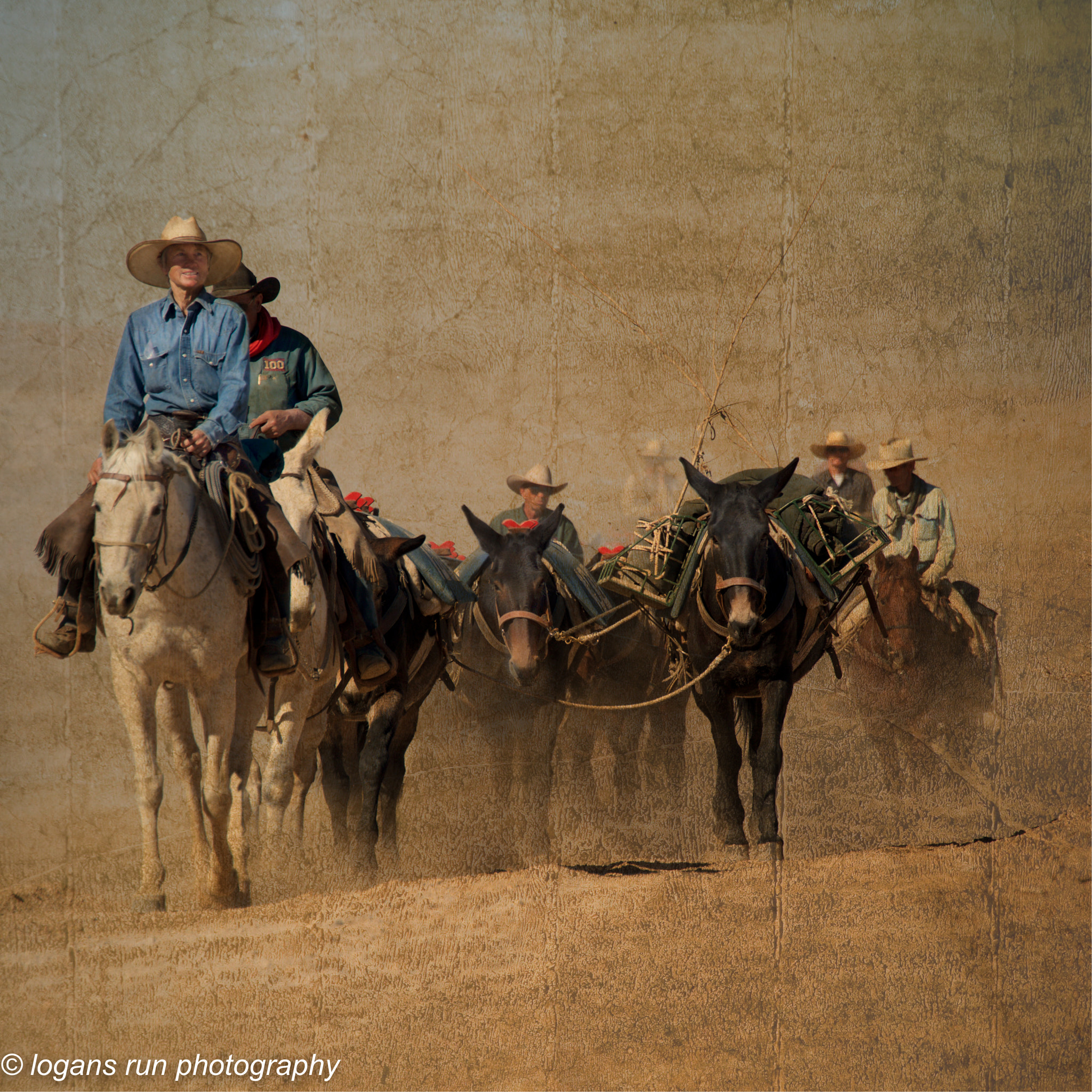 Nikon D800E sample photo. Cowboys - coming out of the dust photography