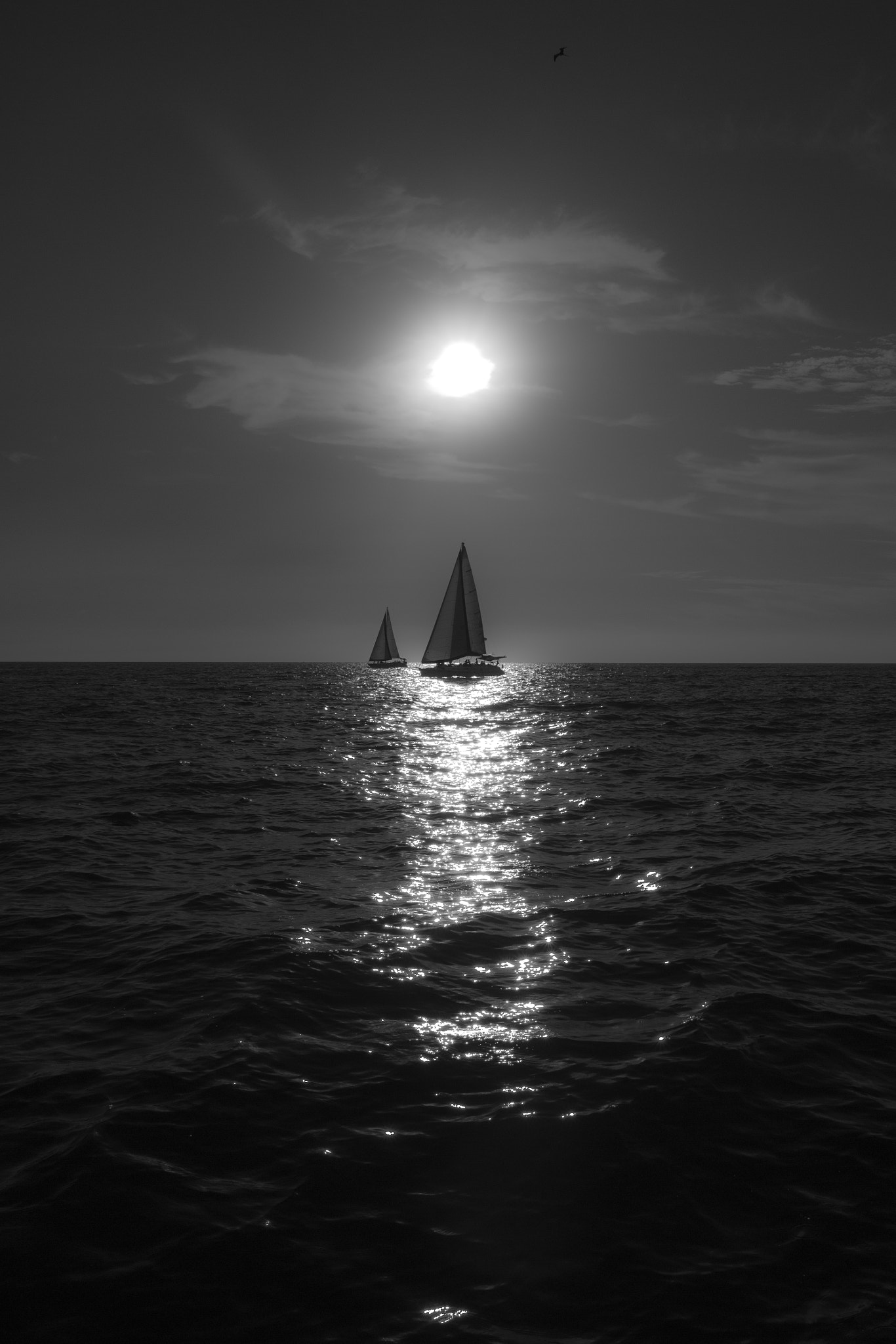Canon EOS 650D (EOS Rebel T4i / EOS Kiss X6i) sample photo. Sailing in black and white photography
