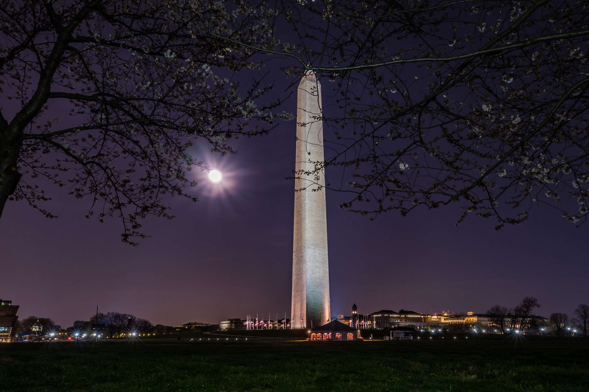 Olympus OM-D E-M5 II + OLYMPUS M.12mm F2.0 sample photo. Blossoms and monument photography