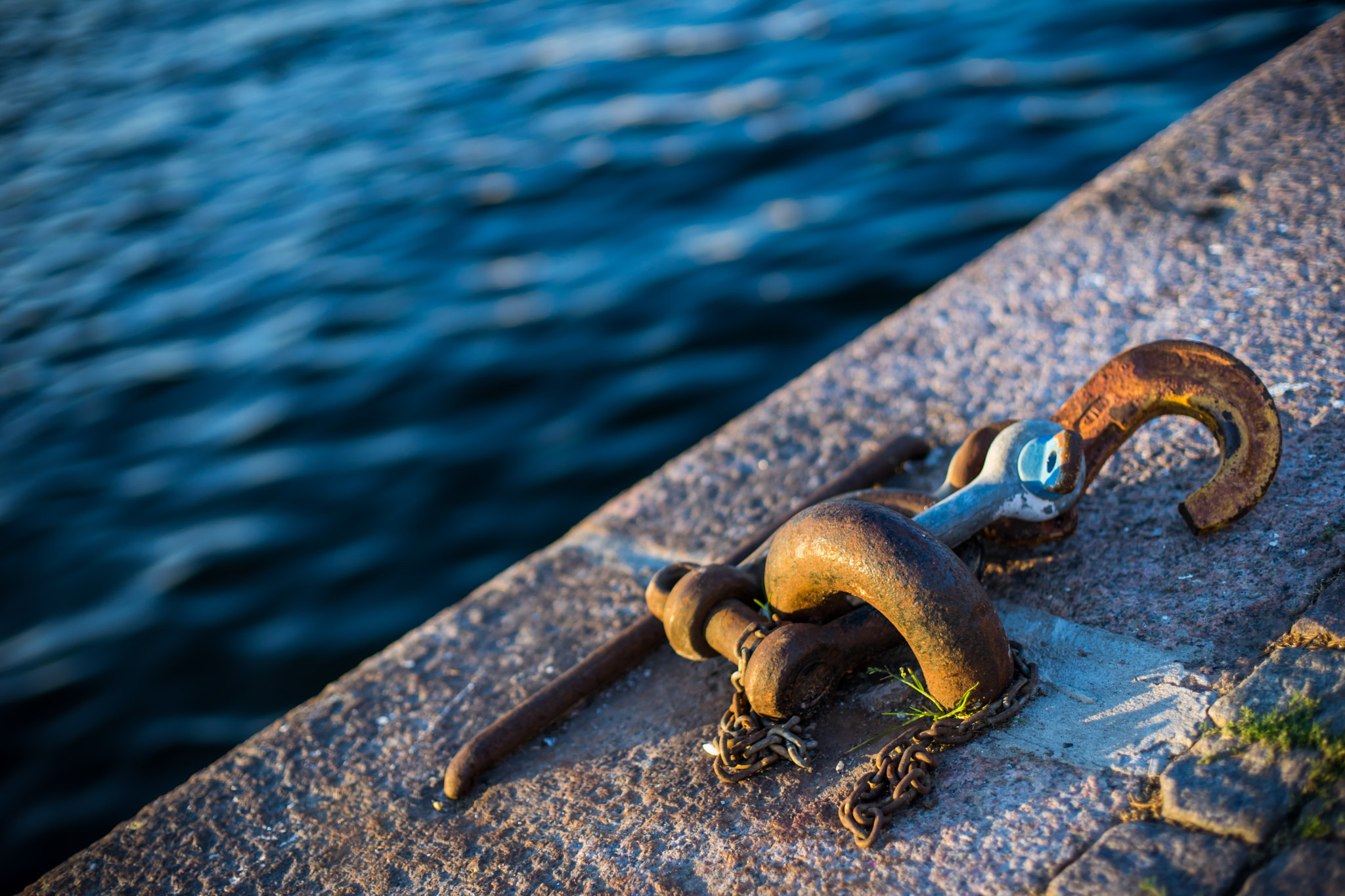 Sony a7 II + Canon EF 50mm F1.4 USM sample photo