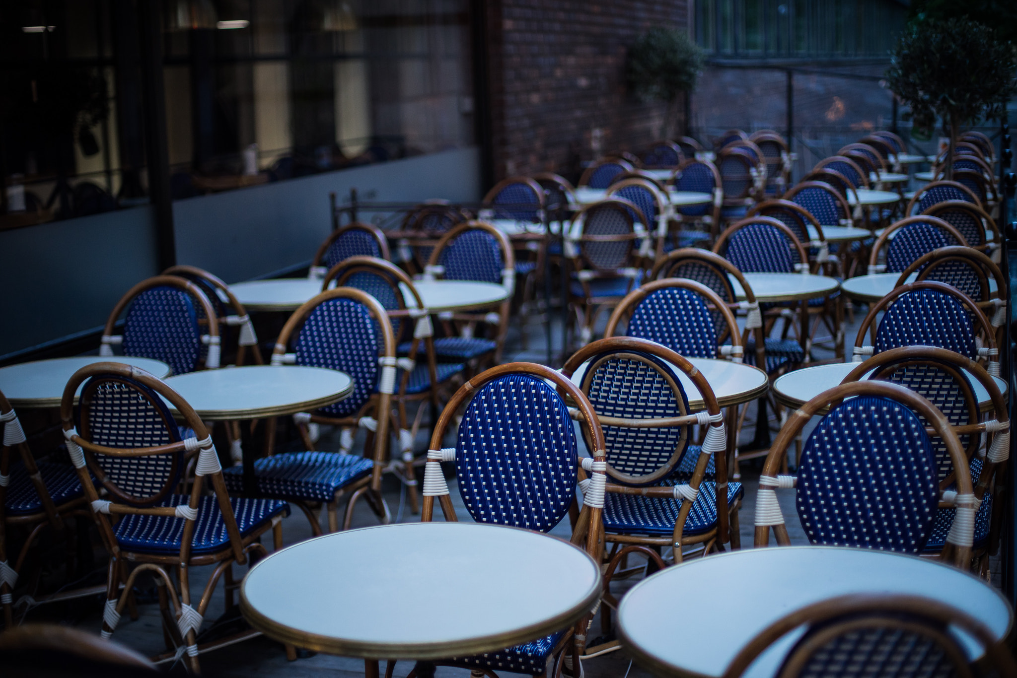 Sony a7 II + Canon EF 50mm F1.4 USM sample photo