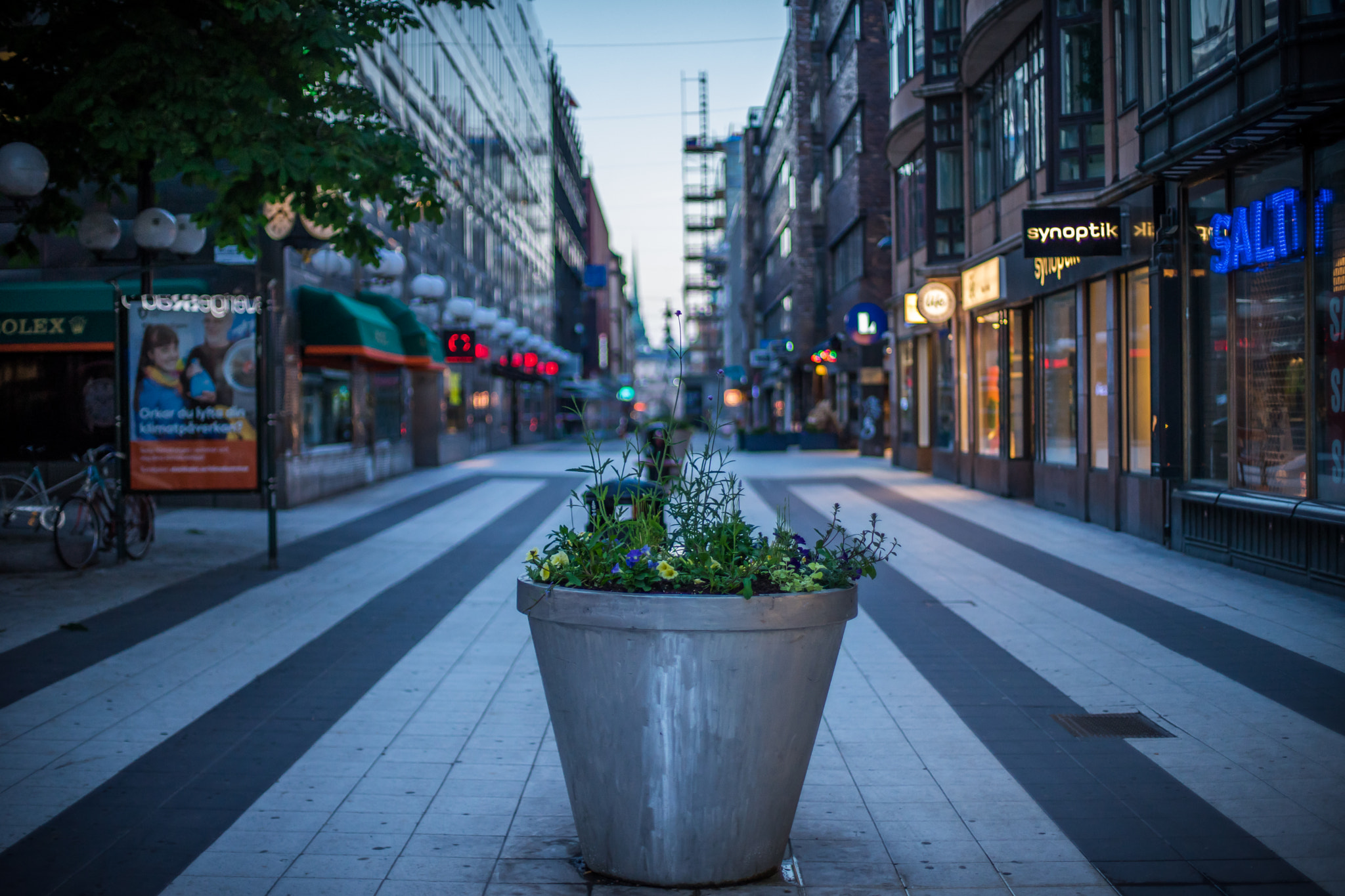 Sony a7 II + Canon EF 50mm F1.4 USM sample photo