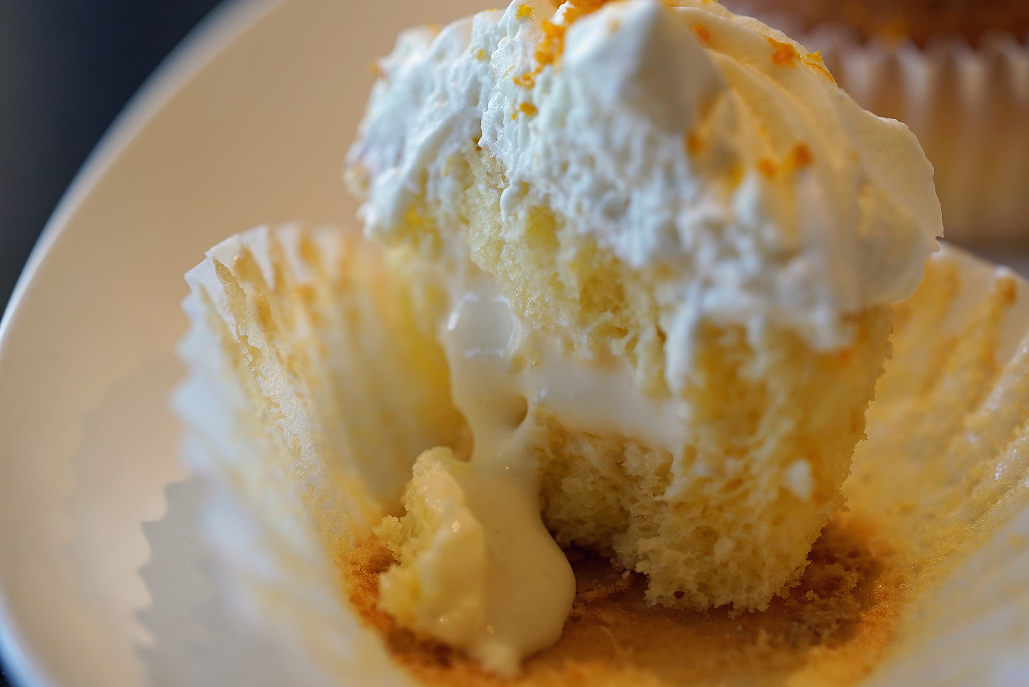 Sony a7S II + Sony FE 90mm F2.8 Macro G OSS sample photo. Omg creamsicle cupcake fs photography