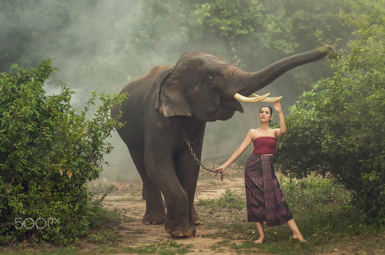 Pentax K-5 IIs sample photo. Beautiful model in traditional suit with elephant in the forest photography