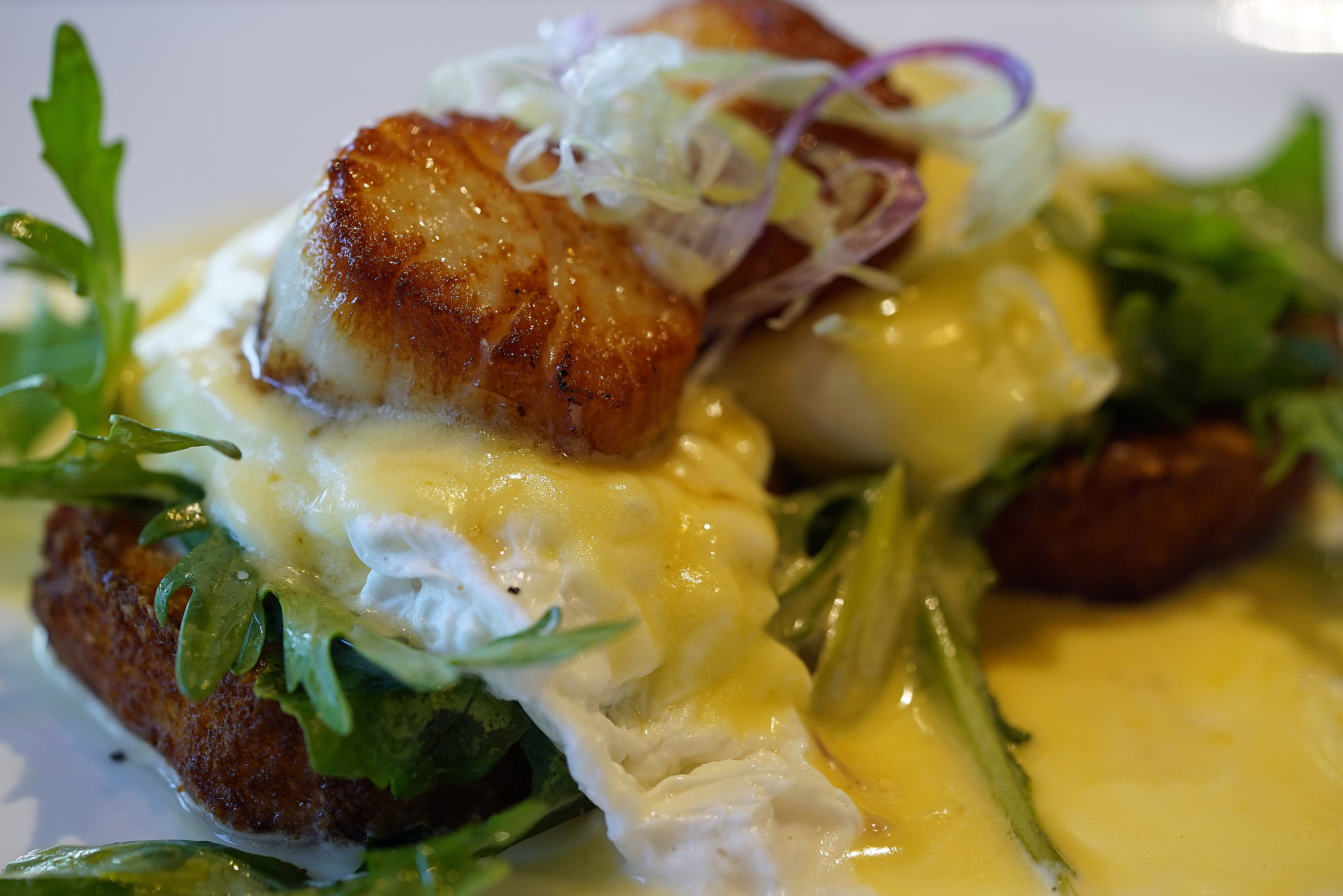 Sony a7S II + Sony FE 90mm F2.8 Macro G OSS sample photo. Omg scallop benedict fs photography