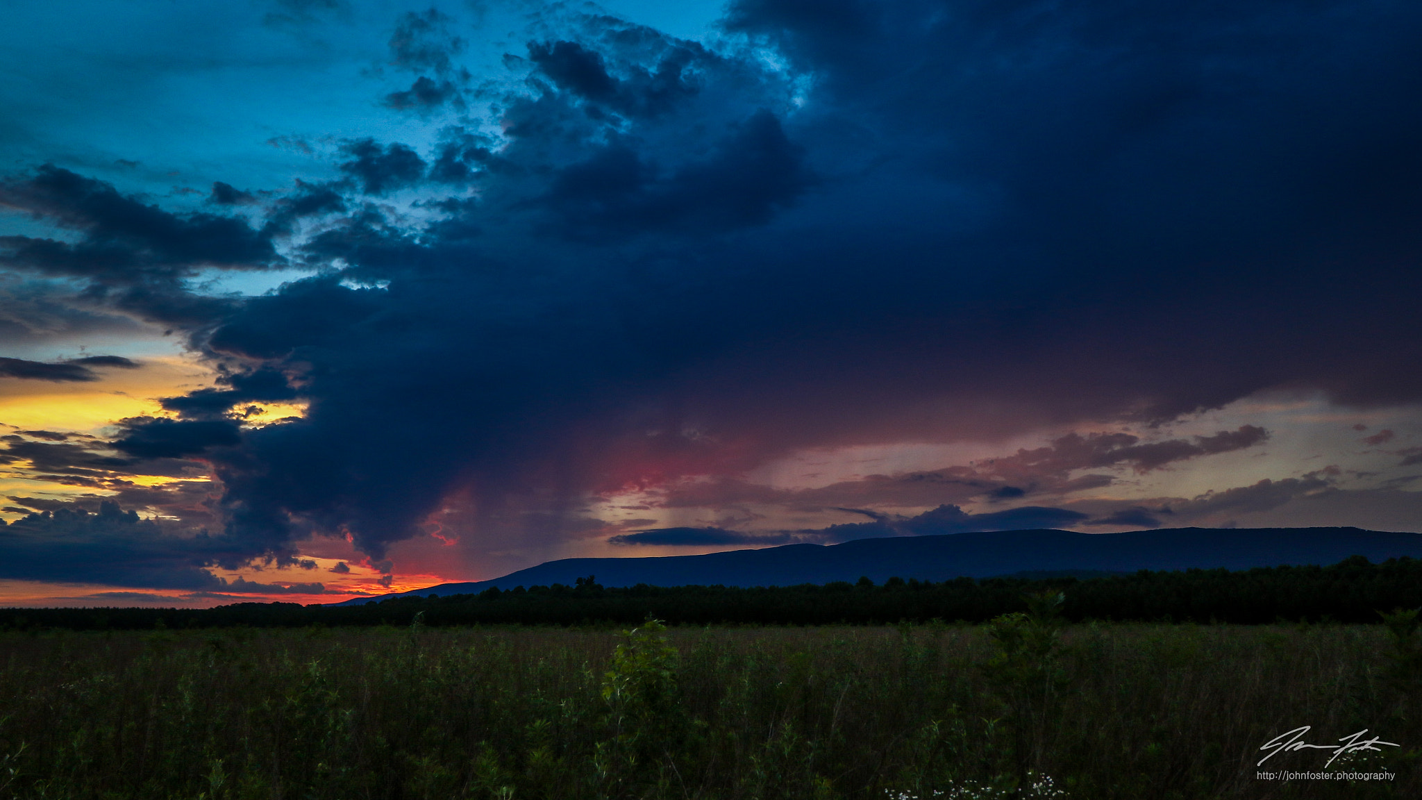 Canon EF-S 10-18mm F4.5–5.6 IS STM sample photo. Purple rain... photography