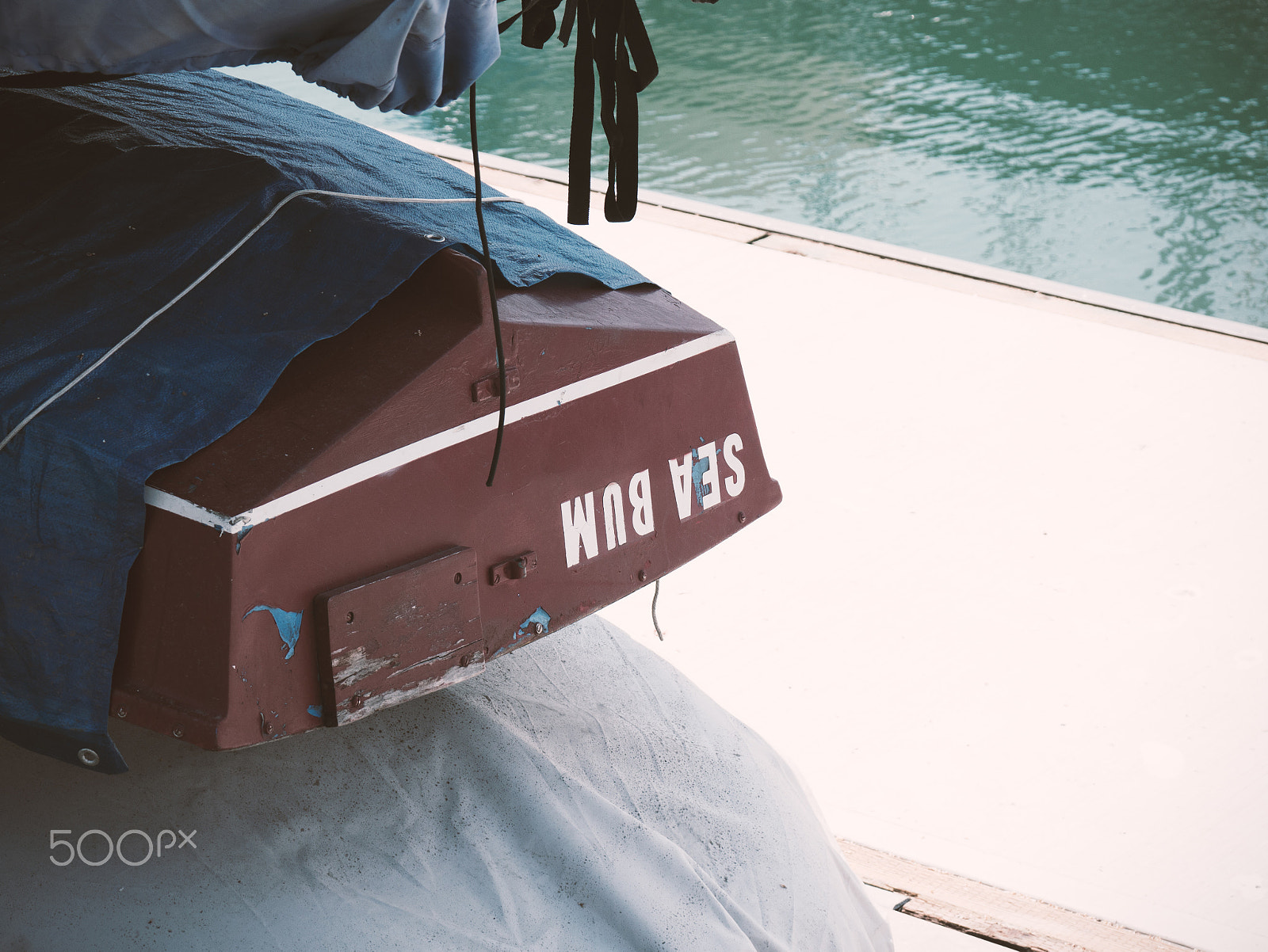 LUMIX G VARIO 45-150/F4.0-5.6 sample photo. Sea bum photography