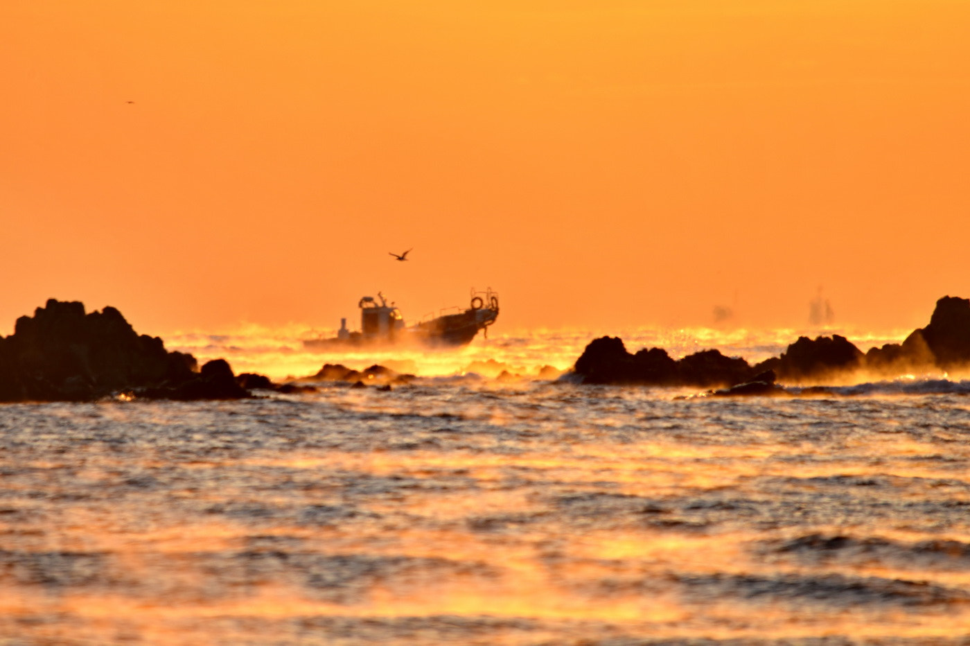 Sigma 150-500mm F5-6.3 DG OS HSM sample photo. Sea mist photography