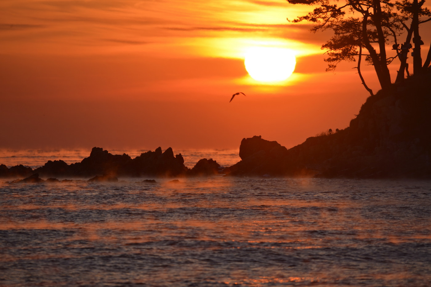 Sigma 150-500mm F5-6.3 DG OS HSM sample photo. Sea mist photography