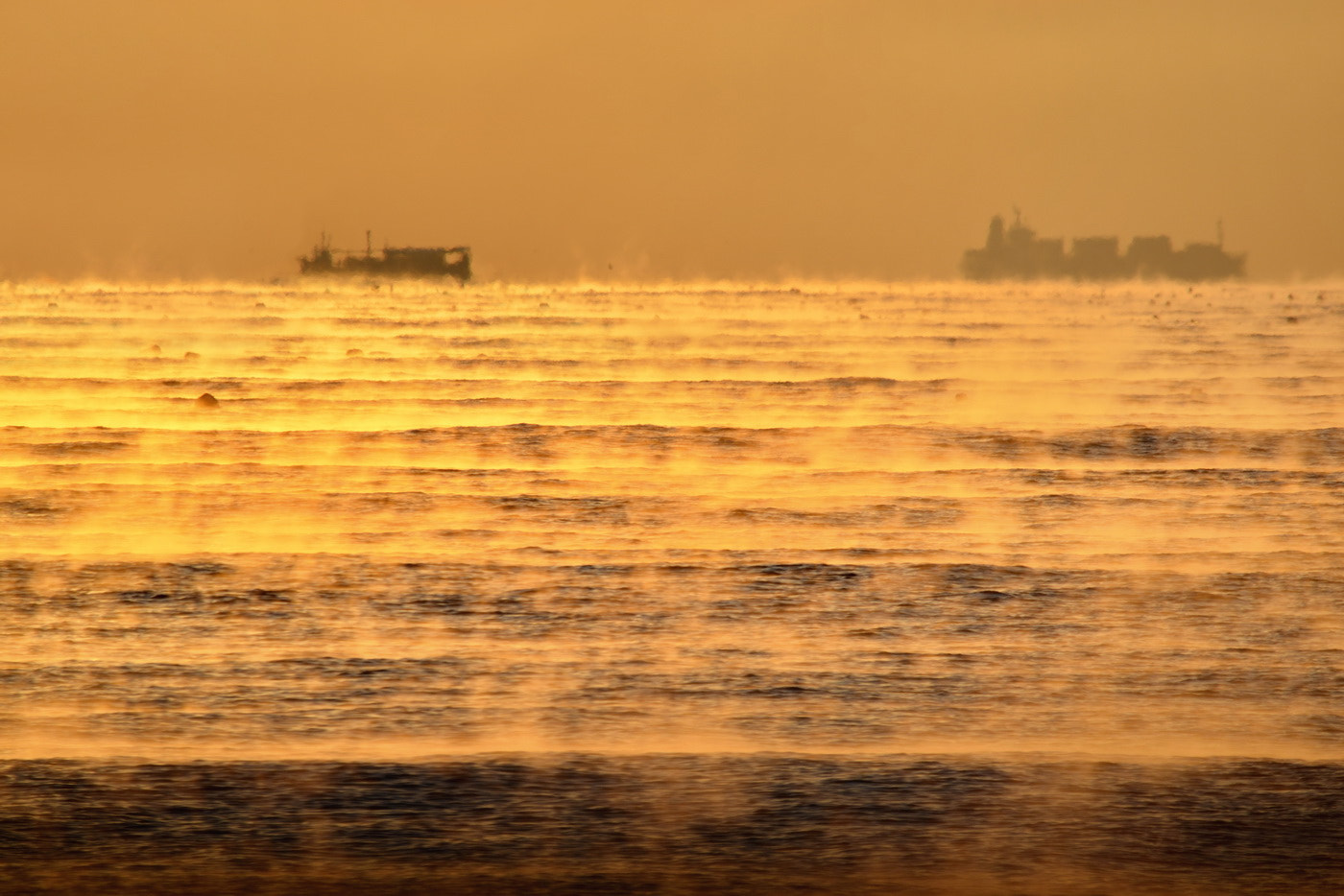 Sigma 150-500mm F5-6.3 DG OS HSM sample photo. Sea mist photography