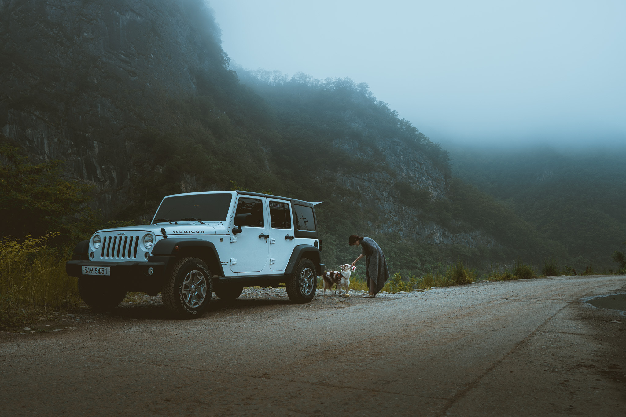 Sony a7 + ZEISS Batis 25mm F2 sample photo. Gangwon foggy mountains photography