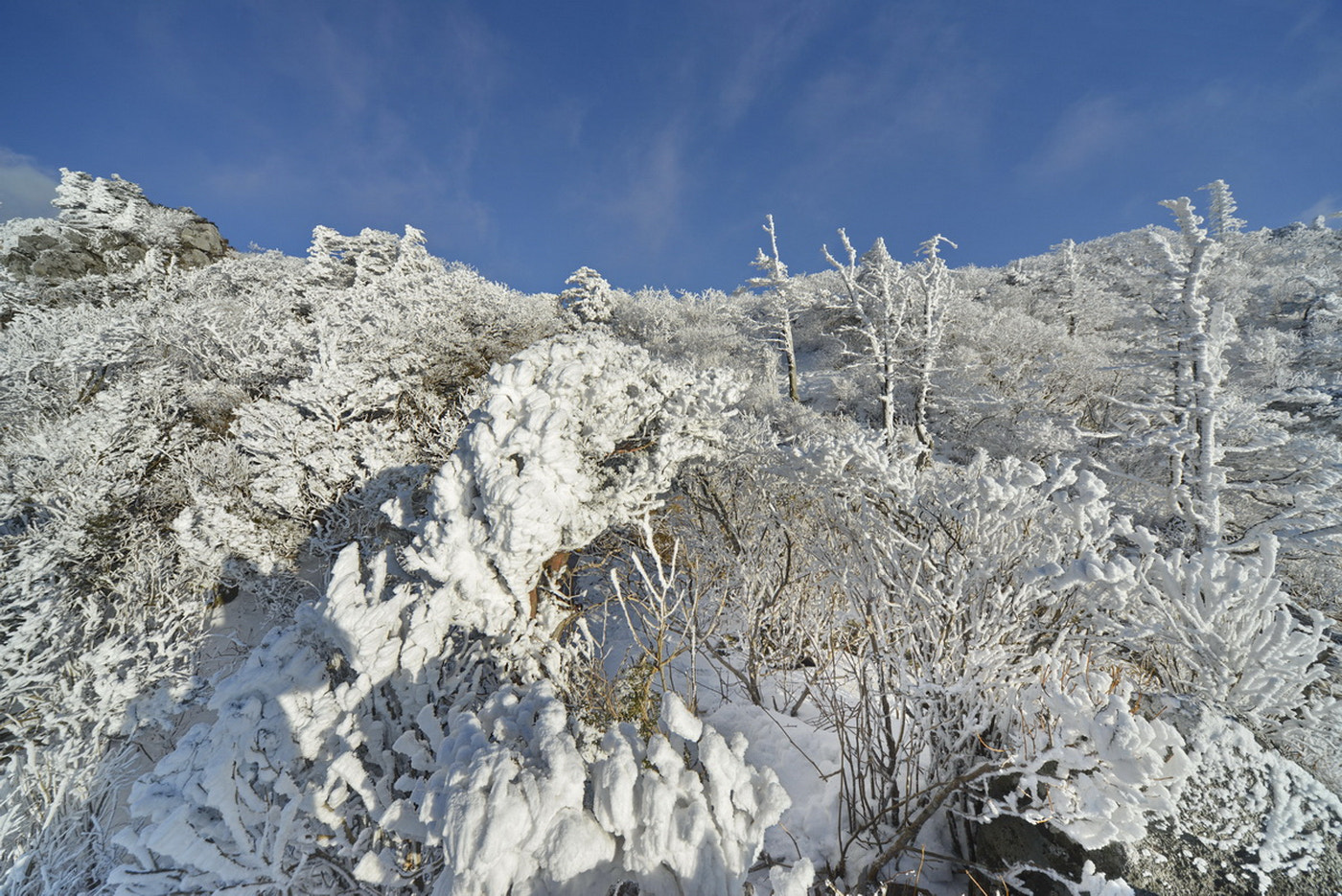 Sigma 12-24mm F4.5-5.6 EX DG Aspherical HSM sample photo. Mt. deogyu photography