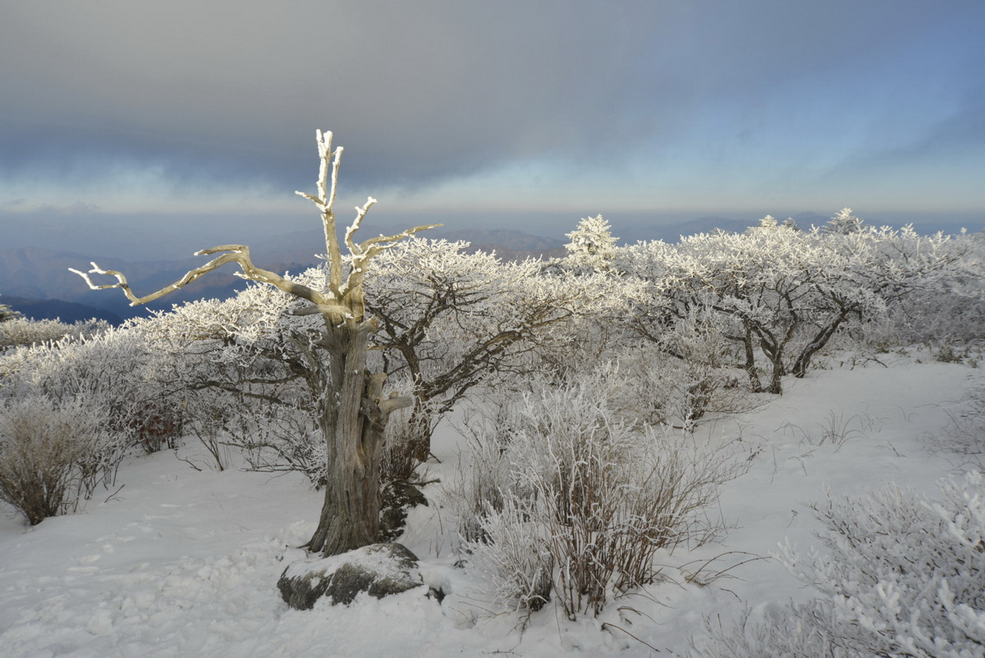 Nikon D800E + Sigma 12-24mm F4.5-5.6 EX DG Aspherical HSM sample photo. Mt. deogyu photography