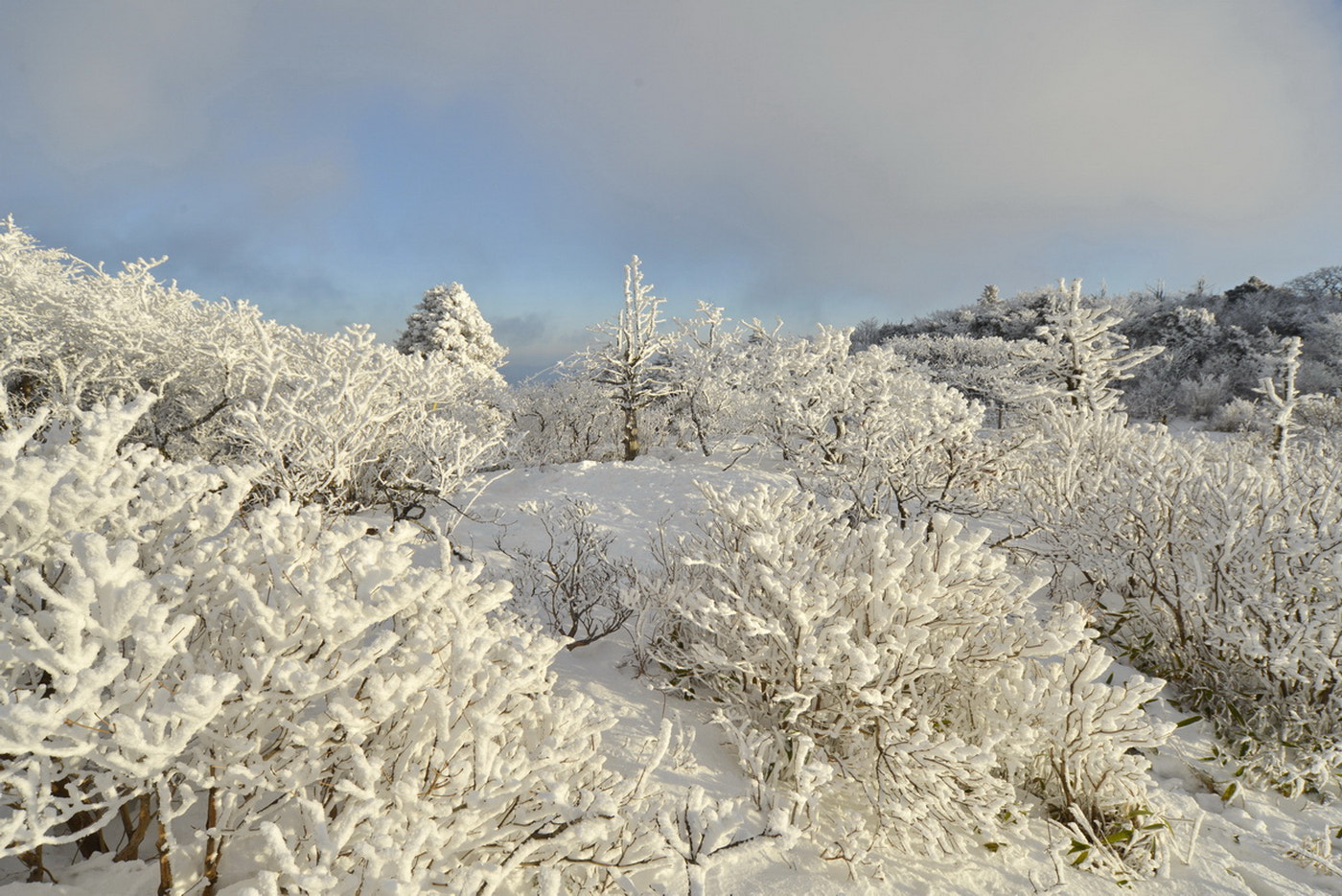 Sigma 12-24mm F4.5-5.6 EX DG Aspherical HSM sample photo. Mt. deogyu photography