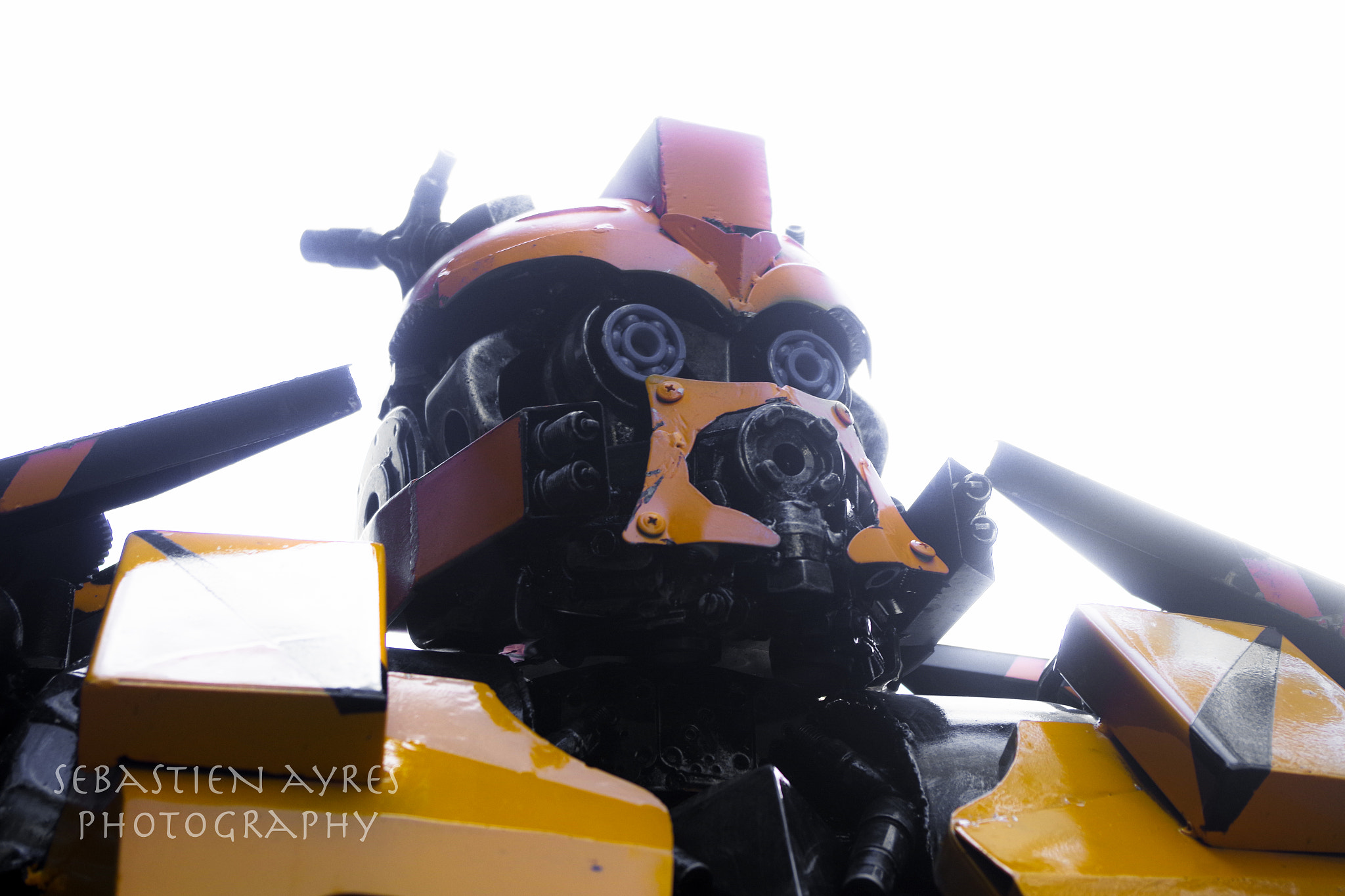 Pentax K-S2 sample photo. Bumblebee photography