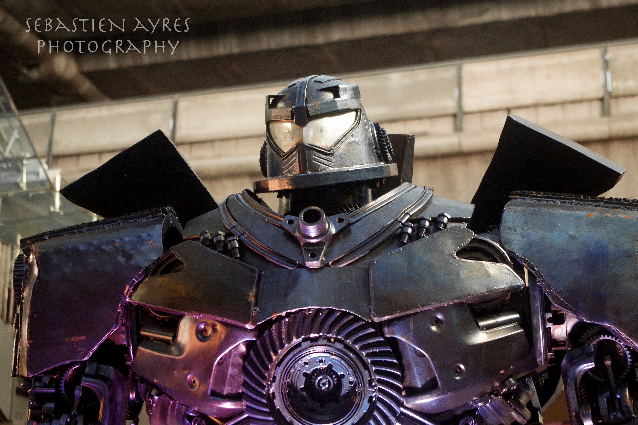 Pentax K-S2 sample photo. Protector photography