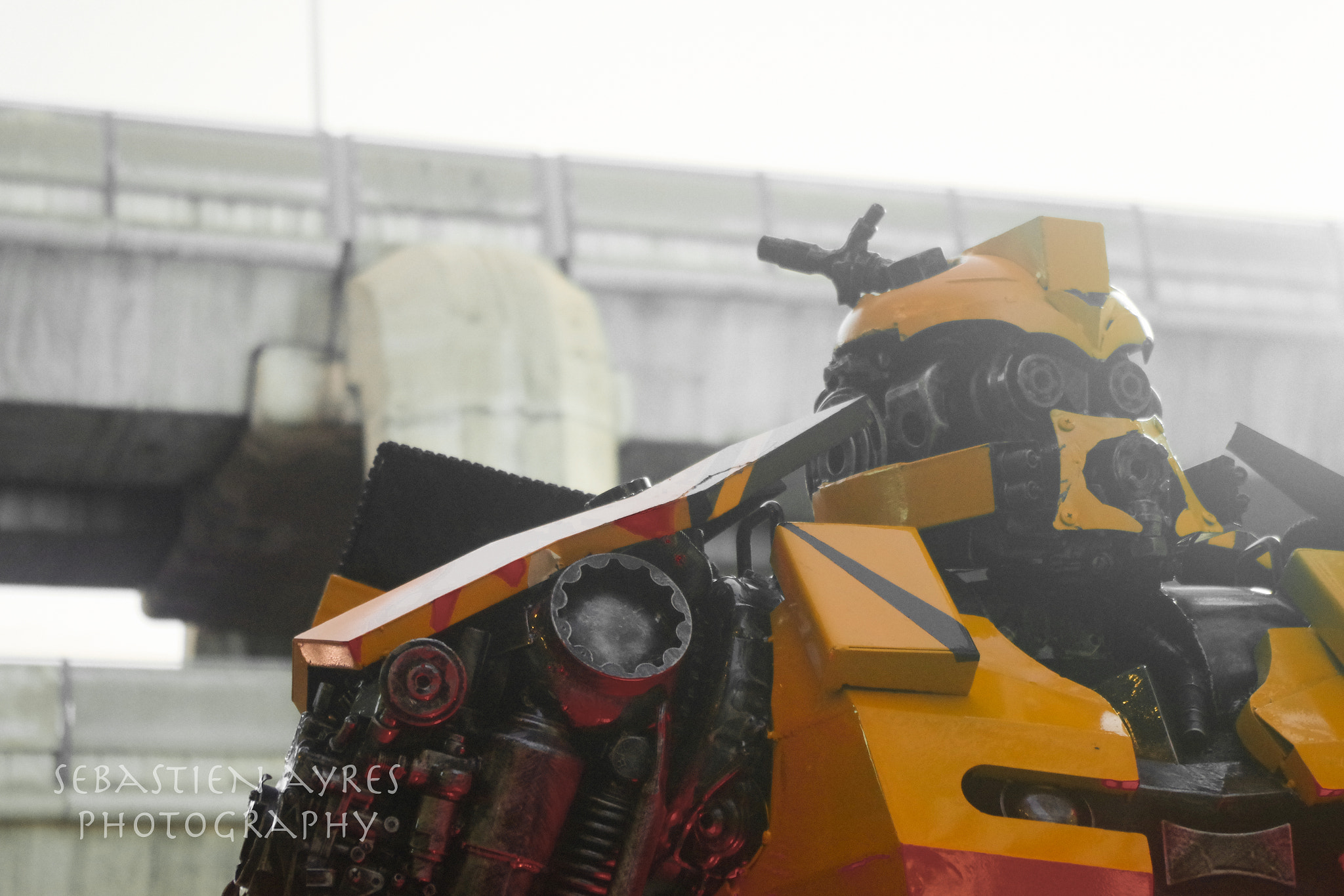 Pentax K-S2 sample photo. Guardian photography