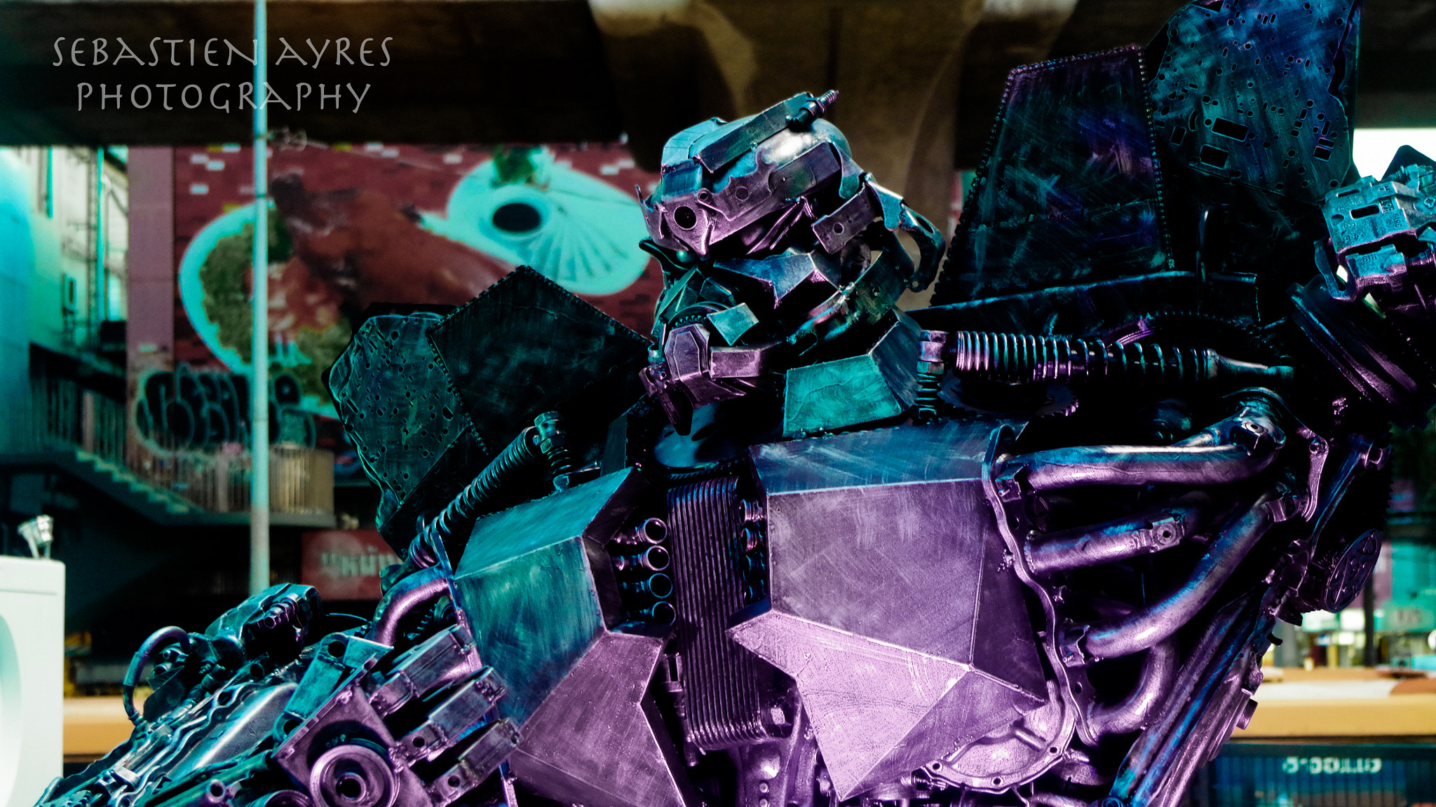Pentax K-S2 sample photo. Ready to fight photography