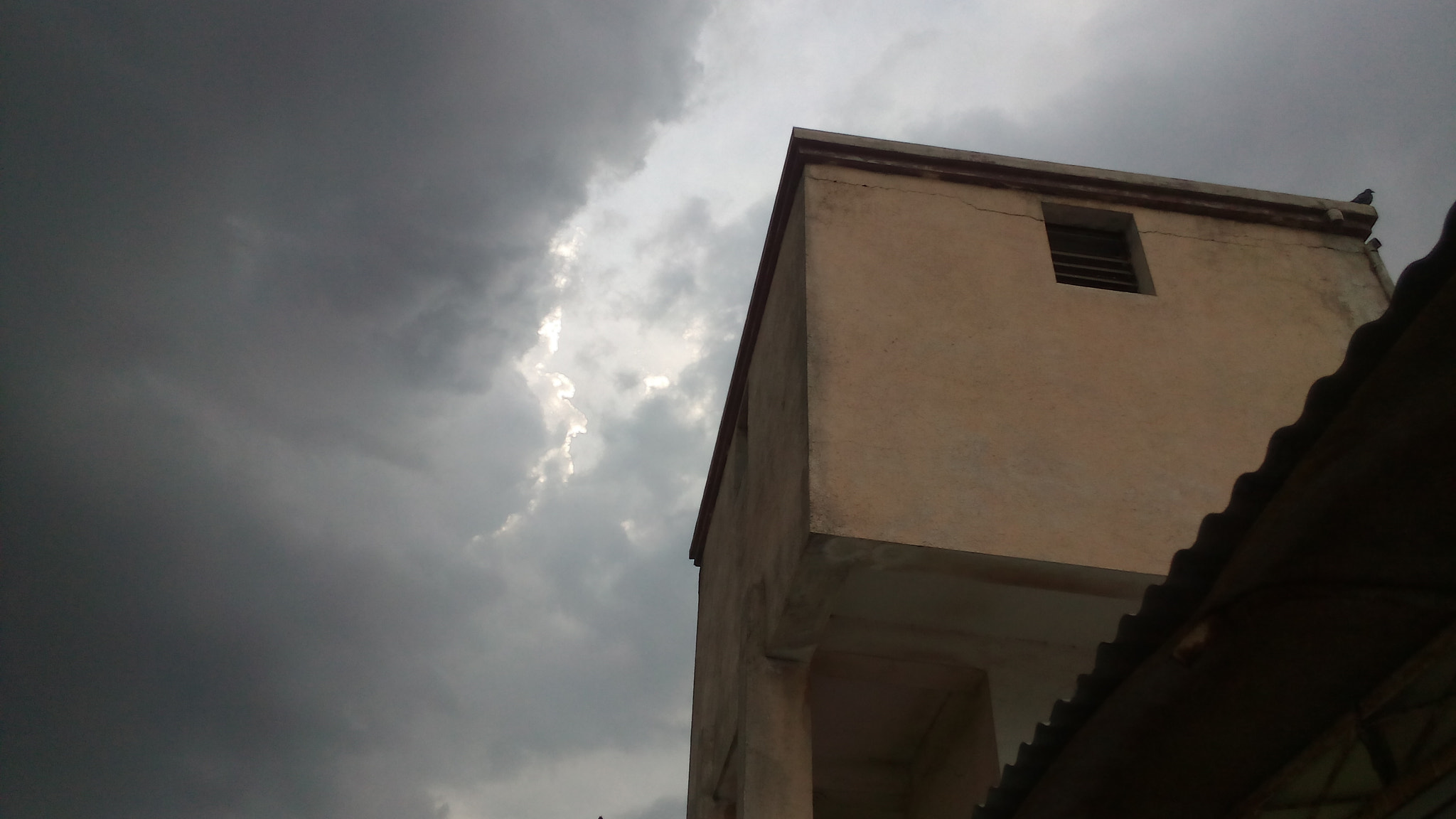 Micromax Canvas Spark sample photo. Serching shelter by a bird photography