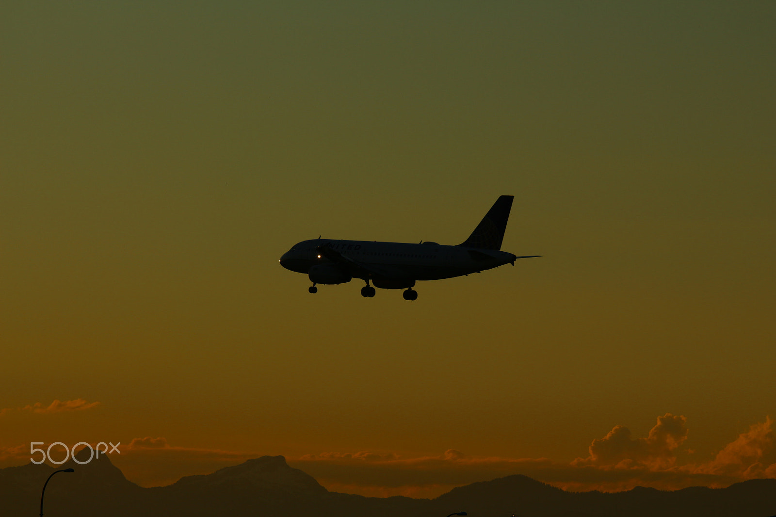 Sigma 150-500mm F5-6.3 DG OS HSM sample photo. Sunset landing photography