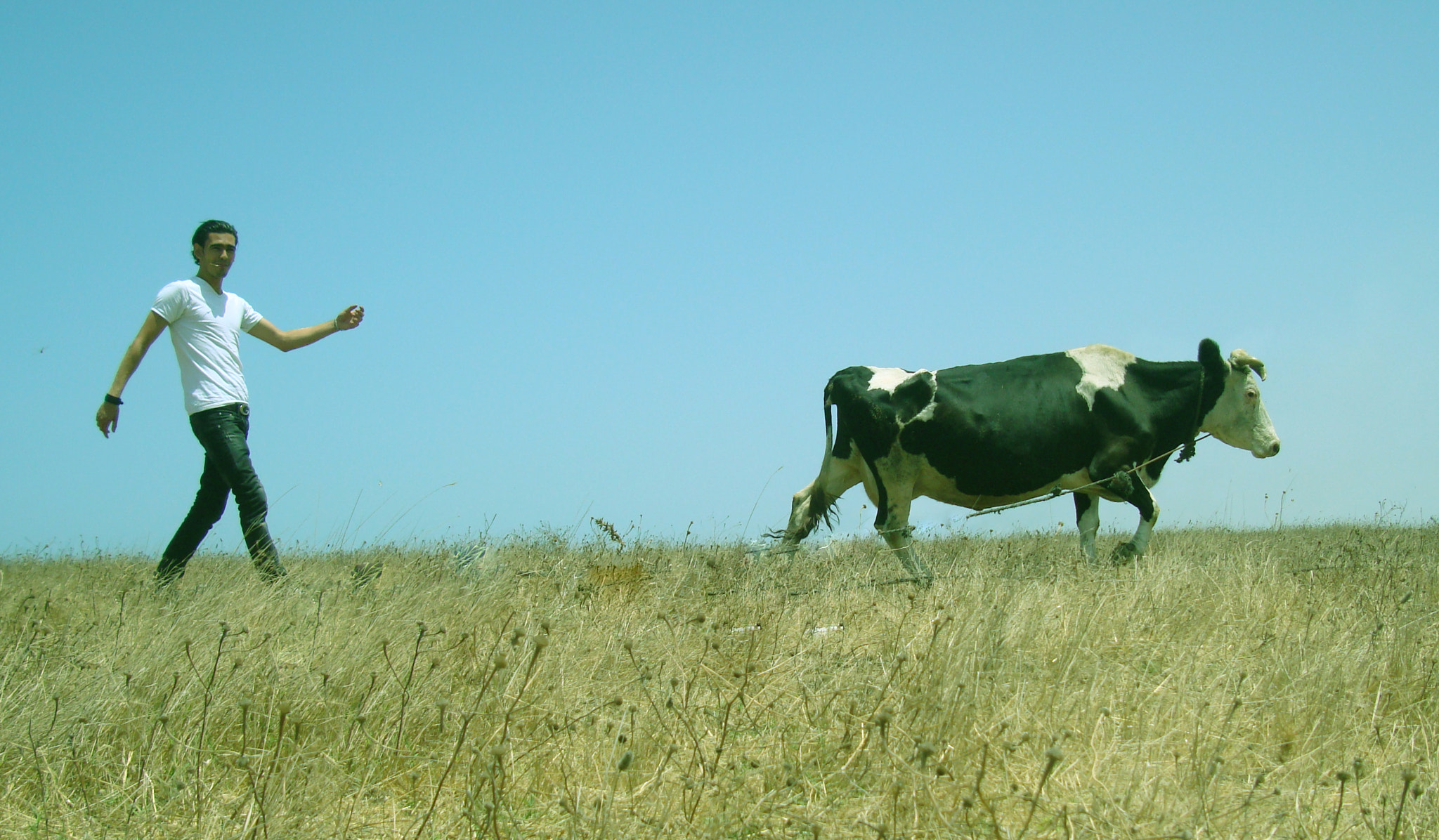 Sony DSC-W200 sample photo. Cowboy photography