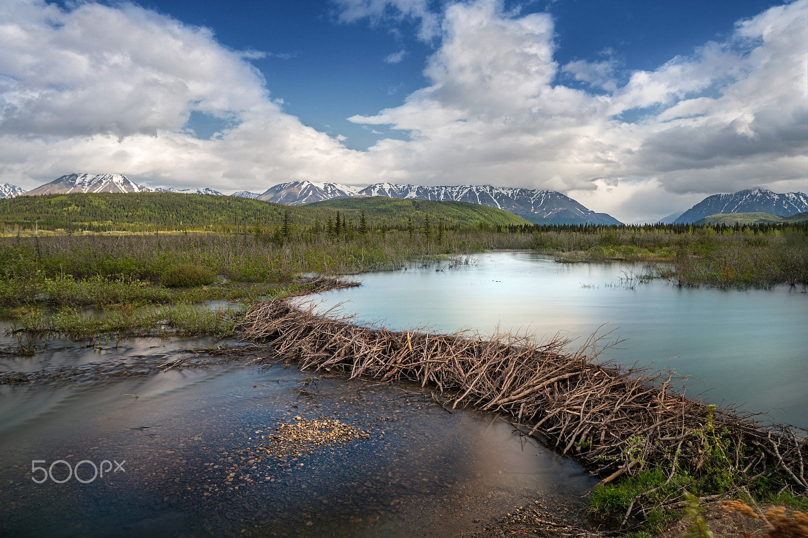 Sony a7R II + Canon EF 17-40mm F4L USM sample photo. _dsc3032.jpg photography