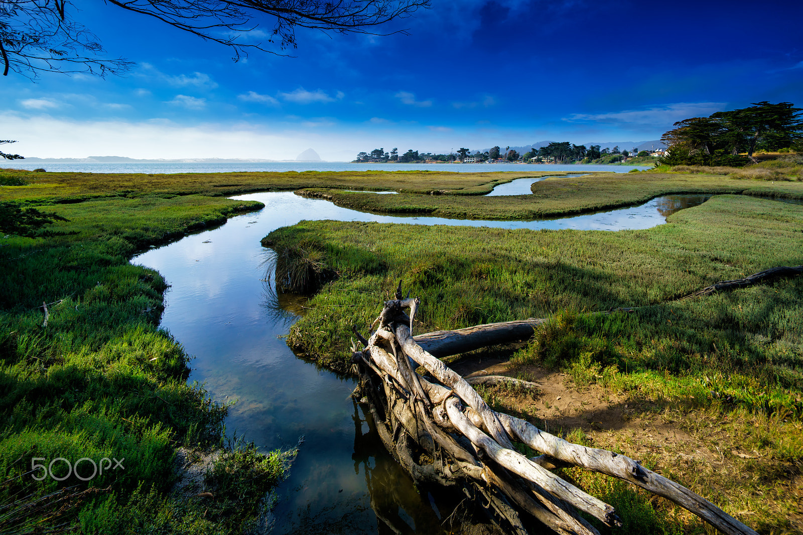 Sony a7R II + Voigtlander SUPER WIDE-HELIAR 15mm F4.5 III sample photo. Sweet springs estuary los osos, ca. photography