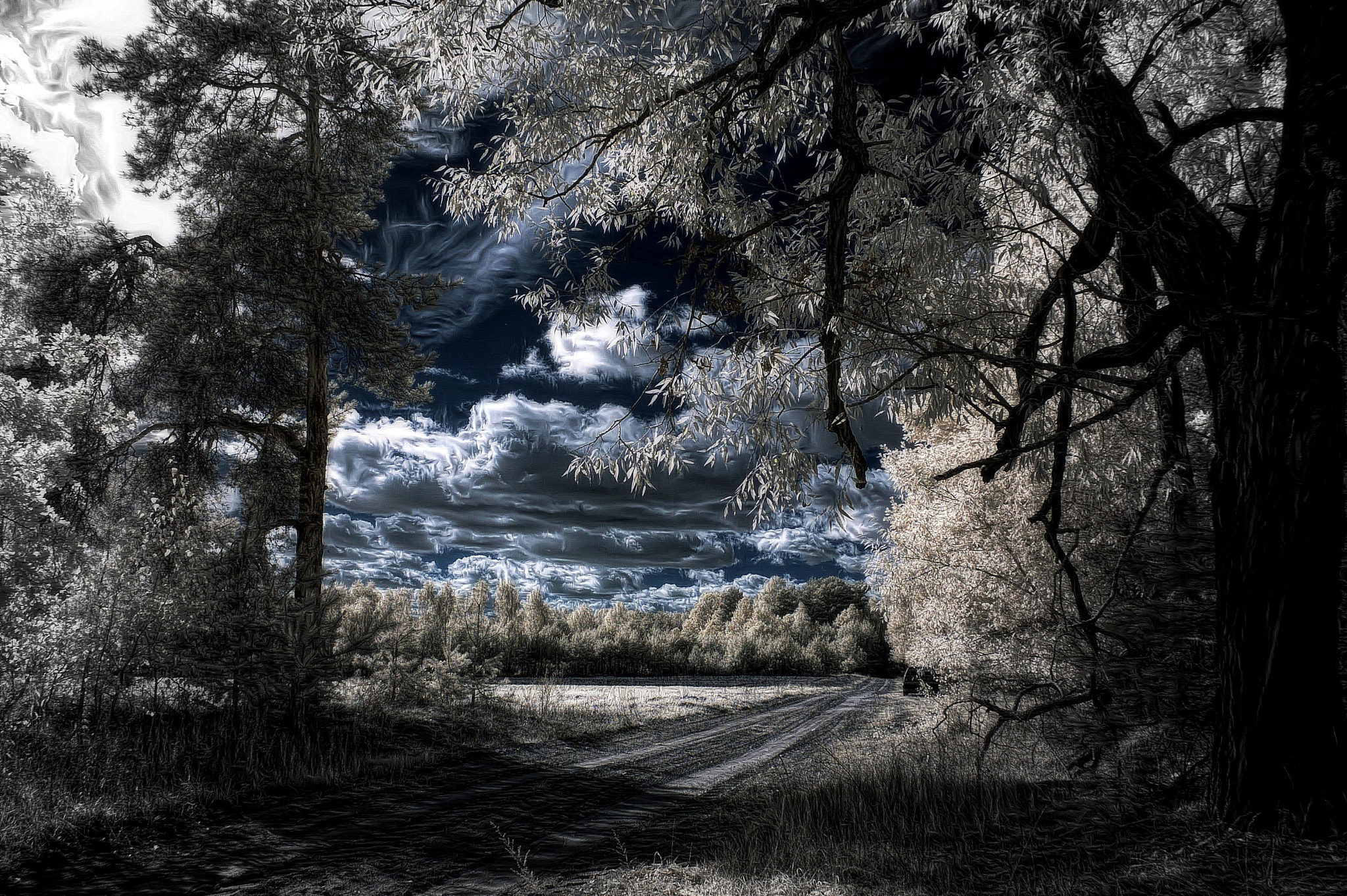 Nikon D50 sample photo. Infrared photography