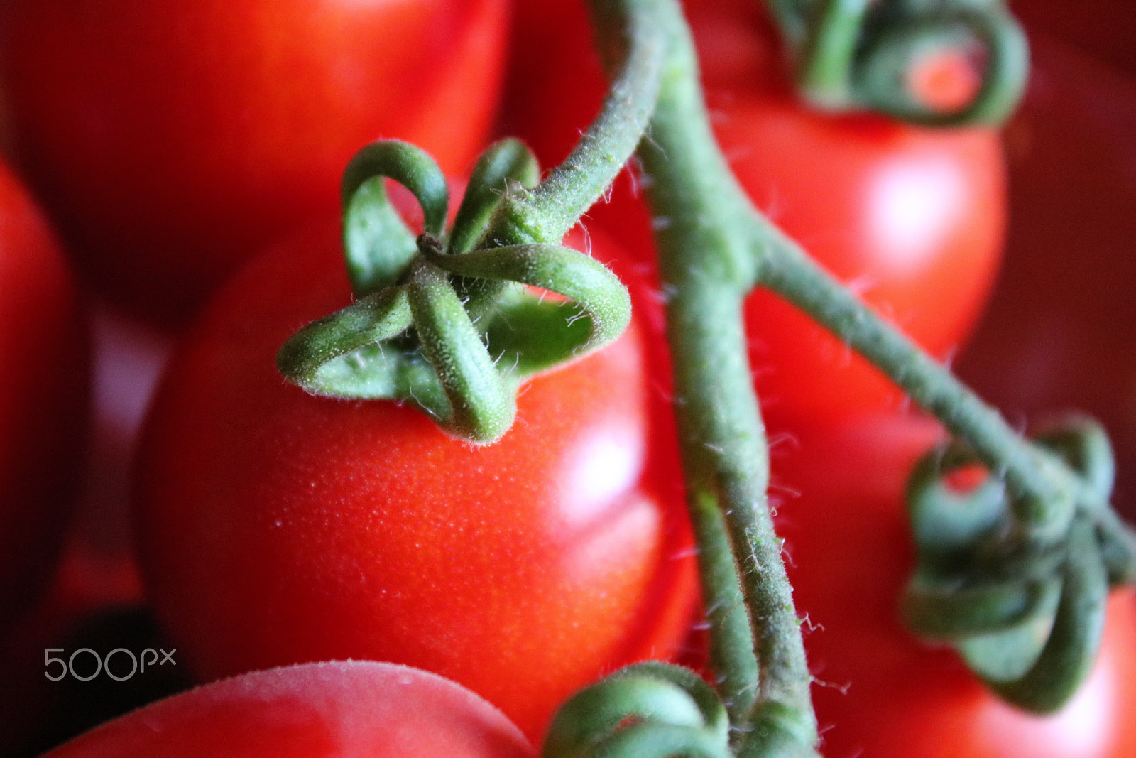 Canon EOS 750D (EOS Rebel T6i / EOS Kiss X8i) sample photo. Red food photography