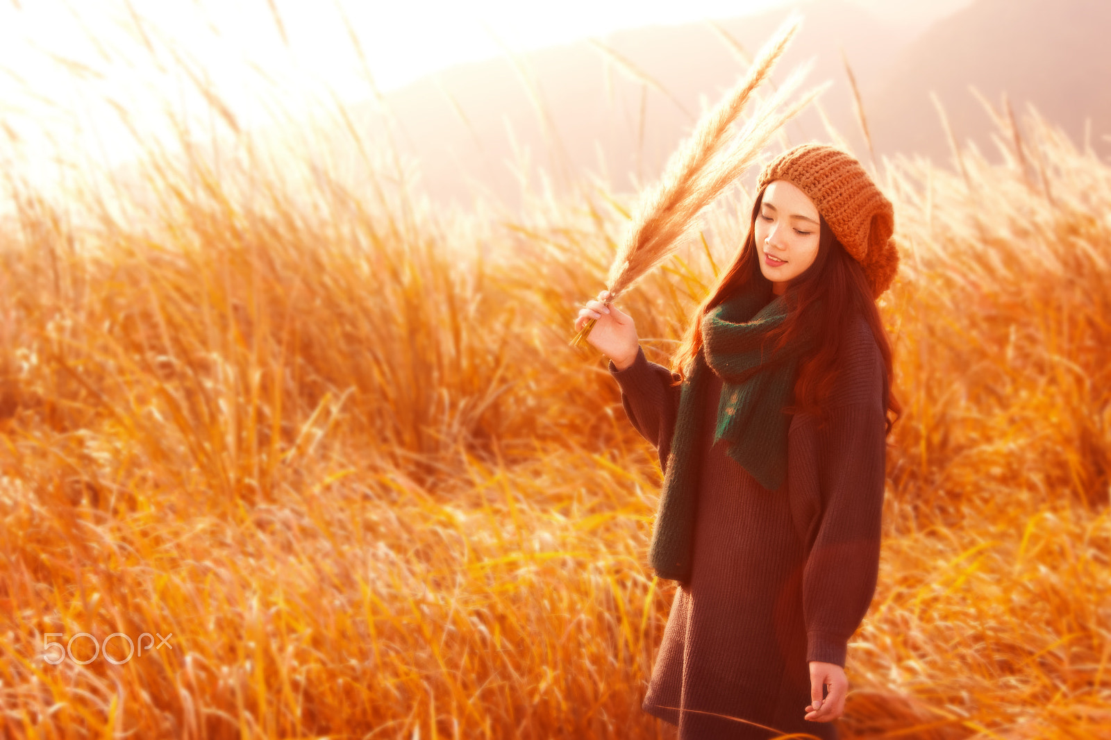 Canon EF 28-70mm f/3.5-4.5 sample photo. 暖 photography