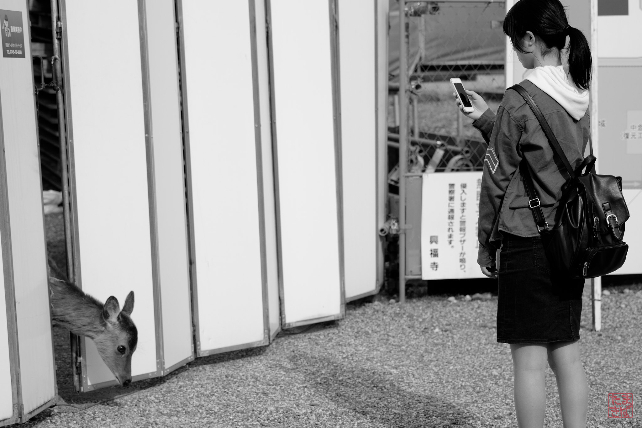 Fujifilm X-E2 + Fujifilm XF 60mm F2.4 R Macro sample photo. A deer in nara koen photography