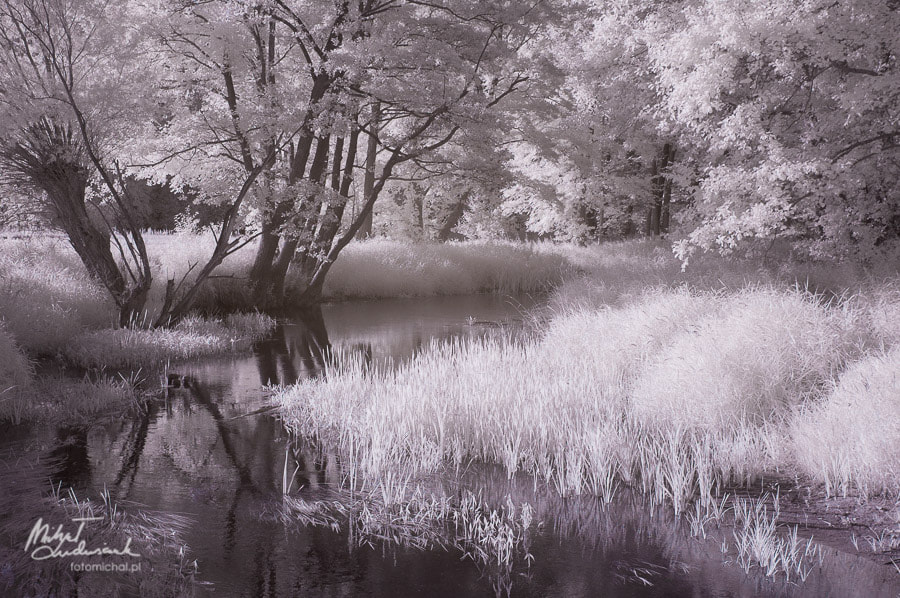 Nikon D70s sample photo. River photography