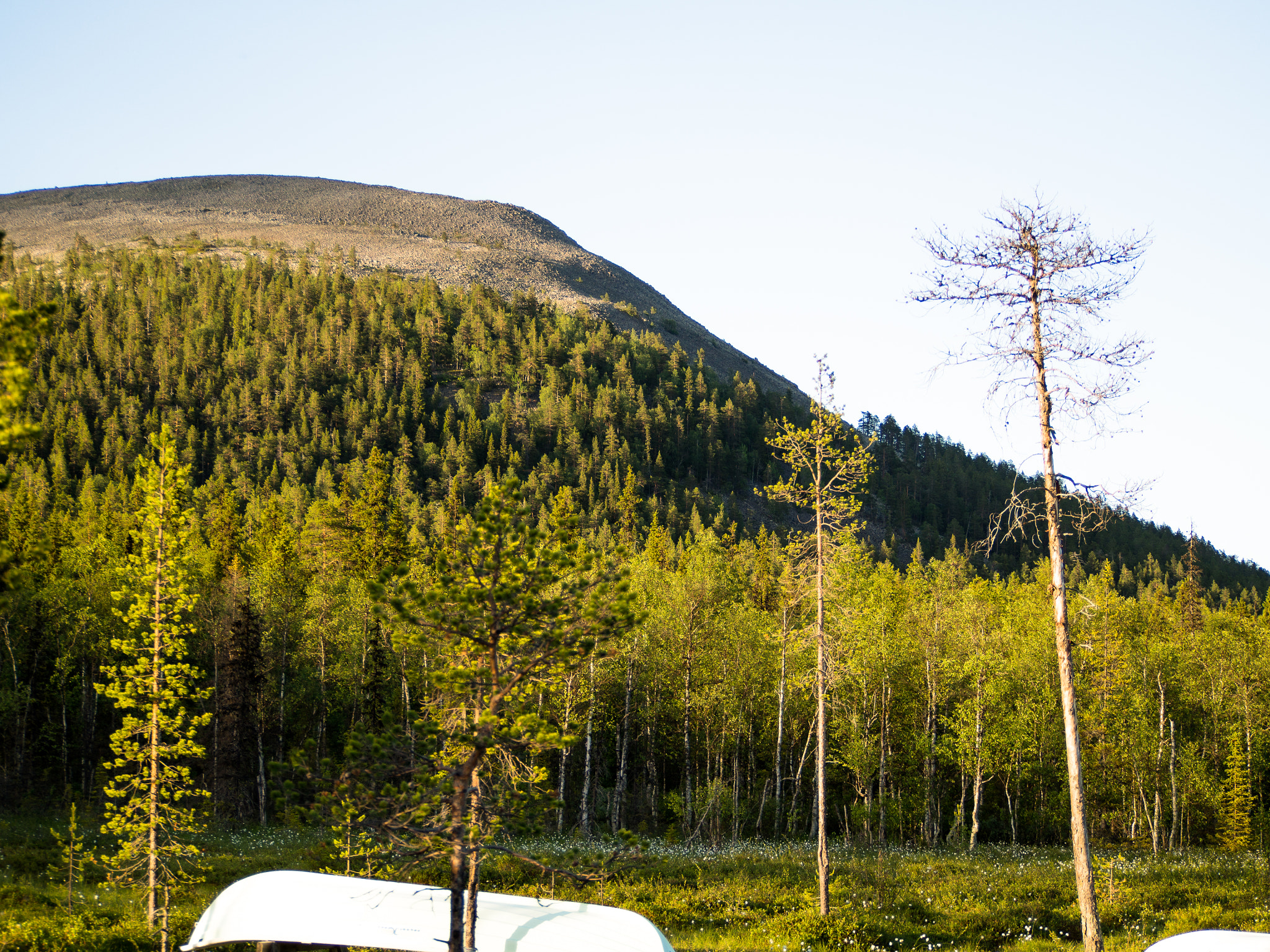 Olympus OM-D E-M10 sample photo. Ylläs photography