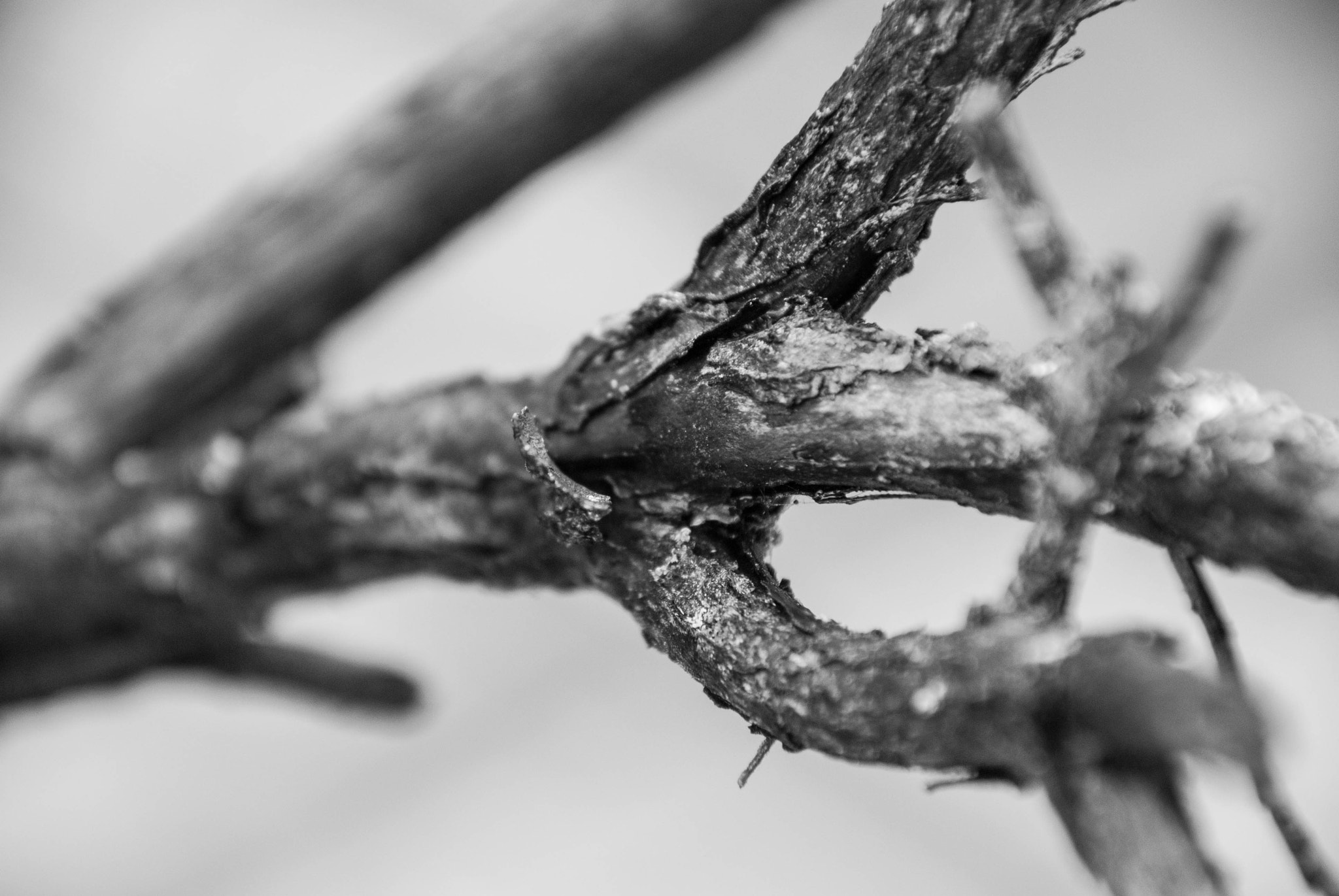 Sigma 18-200mm F3.5-6.3 II DC OS HSM sample photo. Nature photography