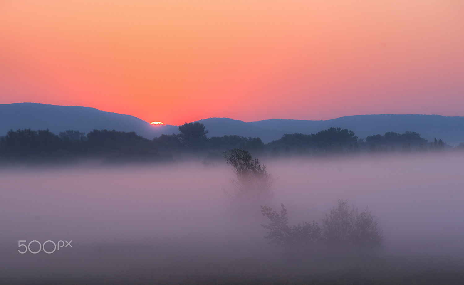 Sony Alpha DSLR-A900 + Tamron SP AF 70-200mm F2.8 Di LD (IF) MACRO sample photo. When the sun comes up photography