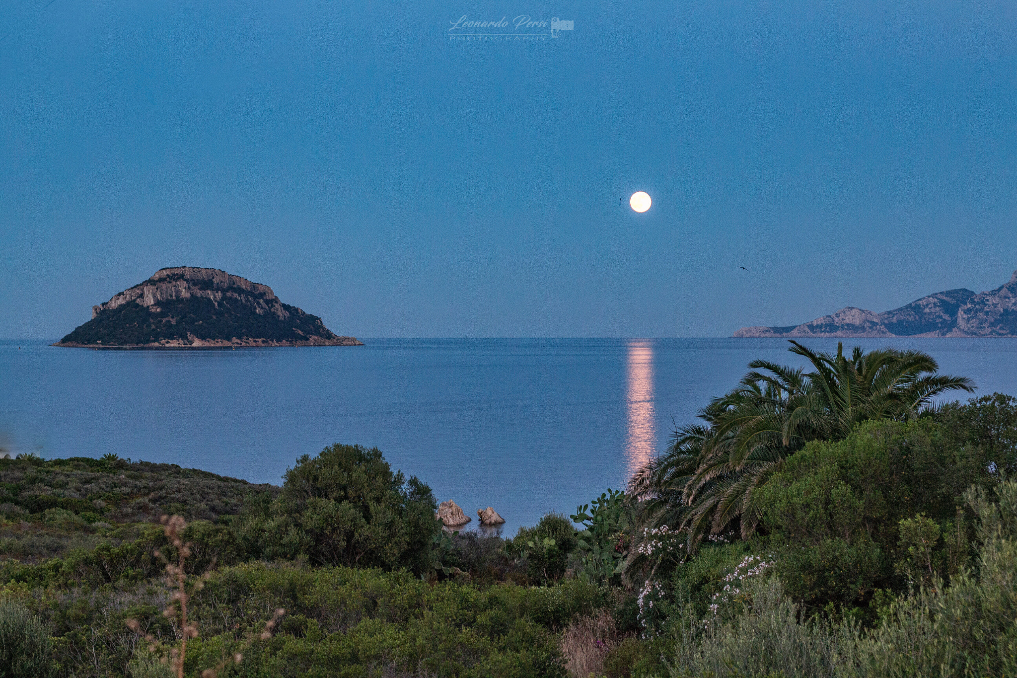 Canon EOS M + Canon EF 50mm F1.8 STM sample photo. Sardegna... photography