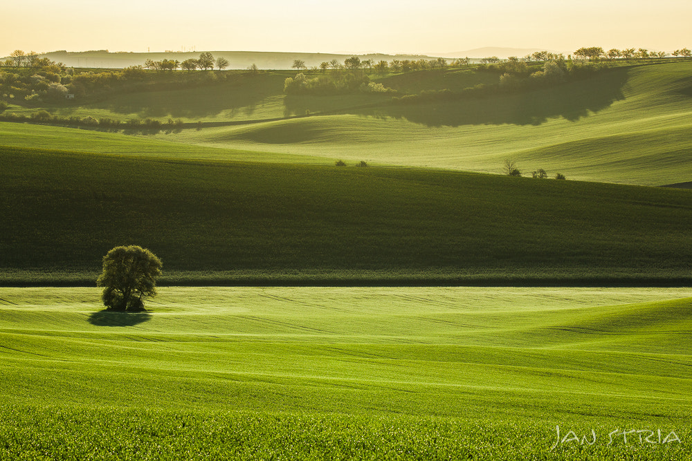 Canon EF 70-300mm F4-5.6L IS USM sample photo. Morning waves photography