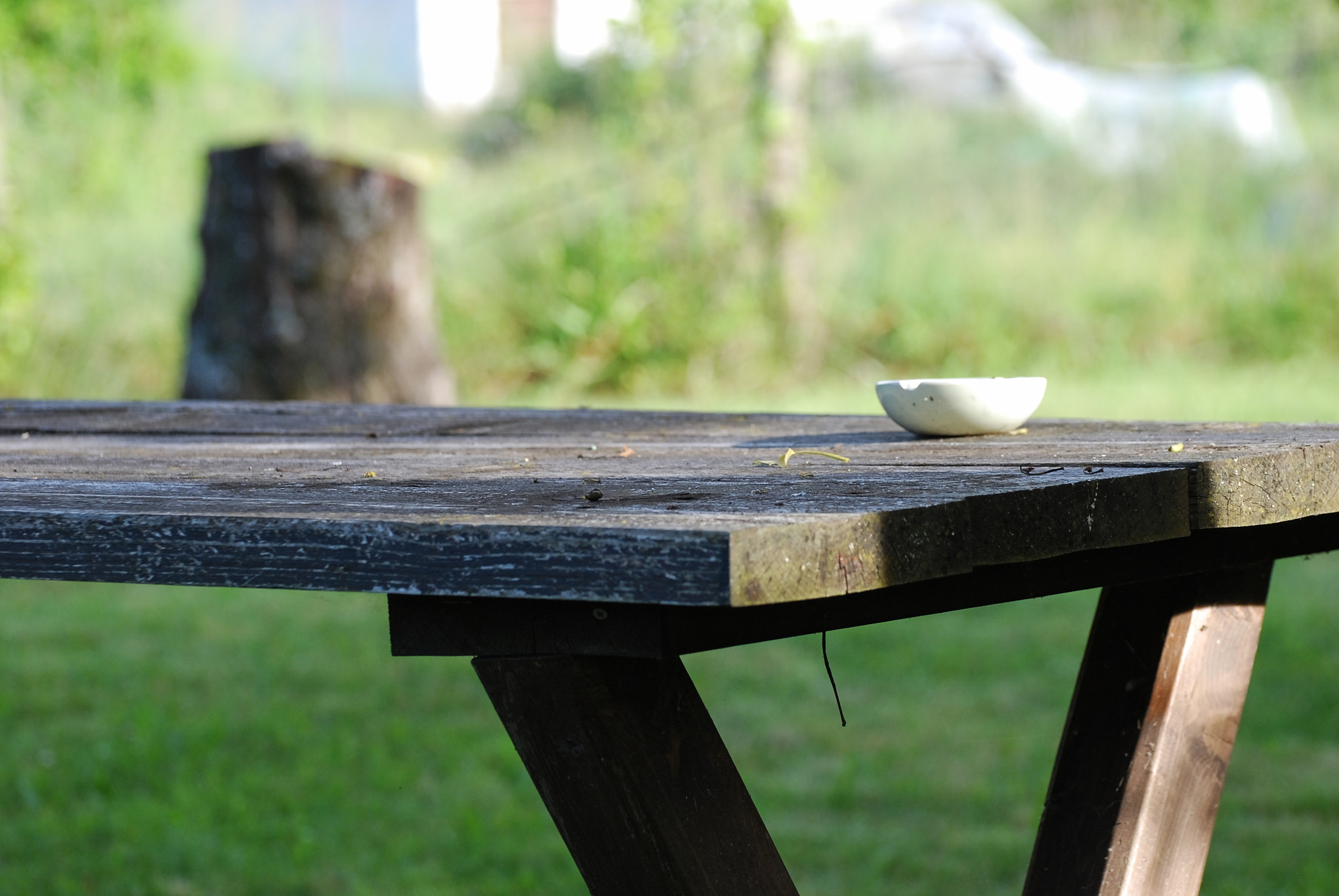 Nikon D60 sample photo. Zen time photography