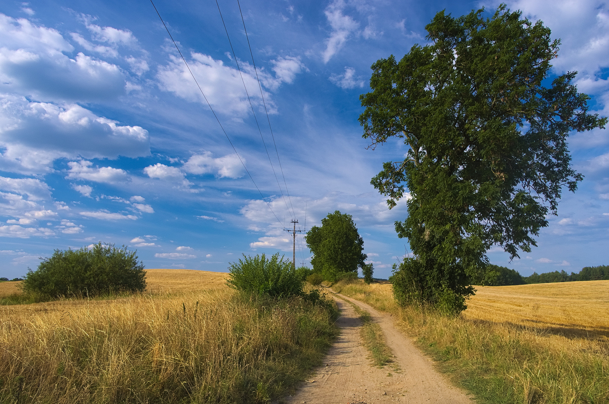 Pentax smc DA 15mm F4 ED AL Limited sample photo. Late summer near cieszyno photography