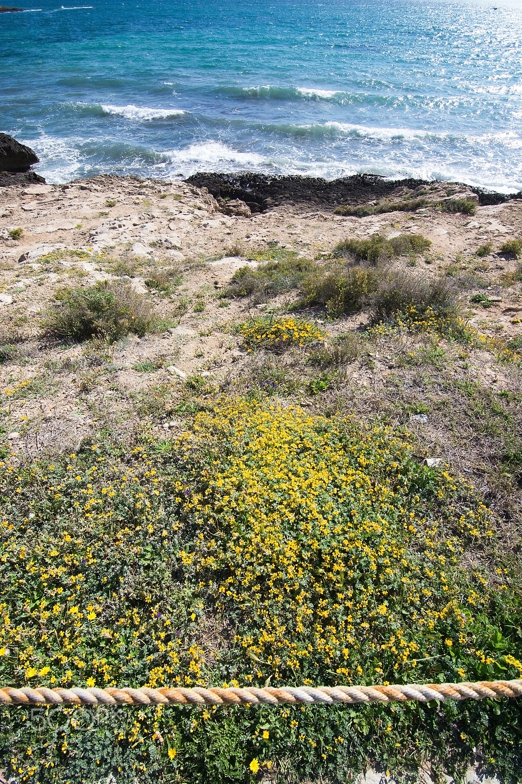 Sigma 28-300mm F3.5-6.3 DG Macro sample photo. Blossoming spring seaside rocks photography