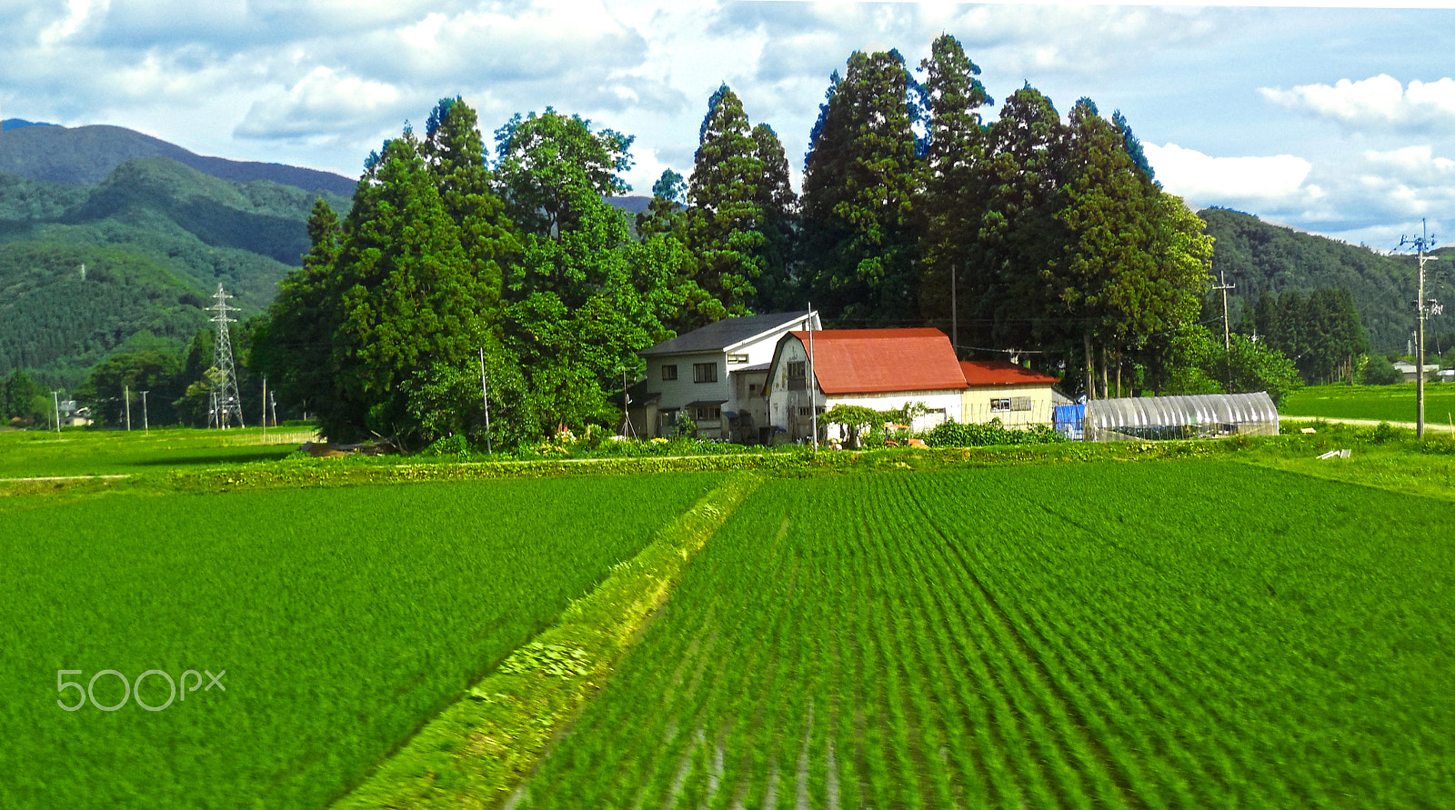 Nikon Coolpix S6400 sample photo. Farmland japan photography
