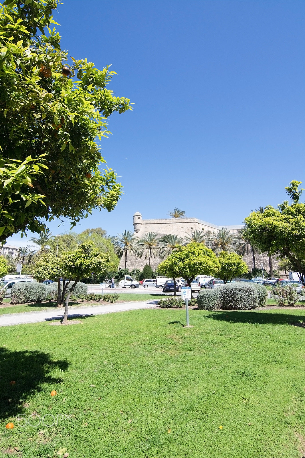 AF Zoom-Nikkor 35-70mm f/2.8D N sample photo. Es baluard tower and park with orange trees and grass photography