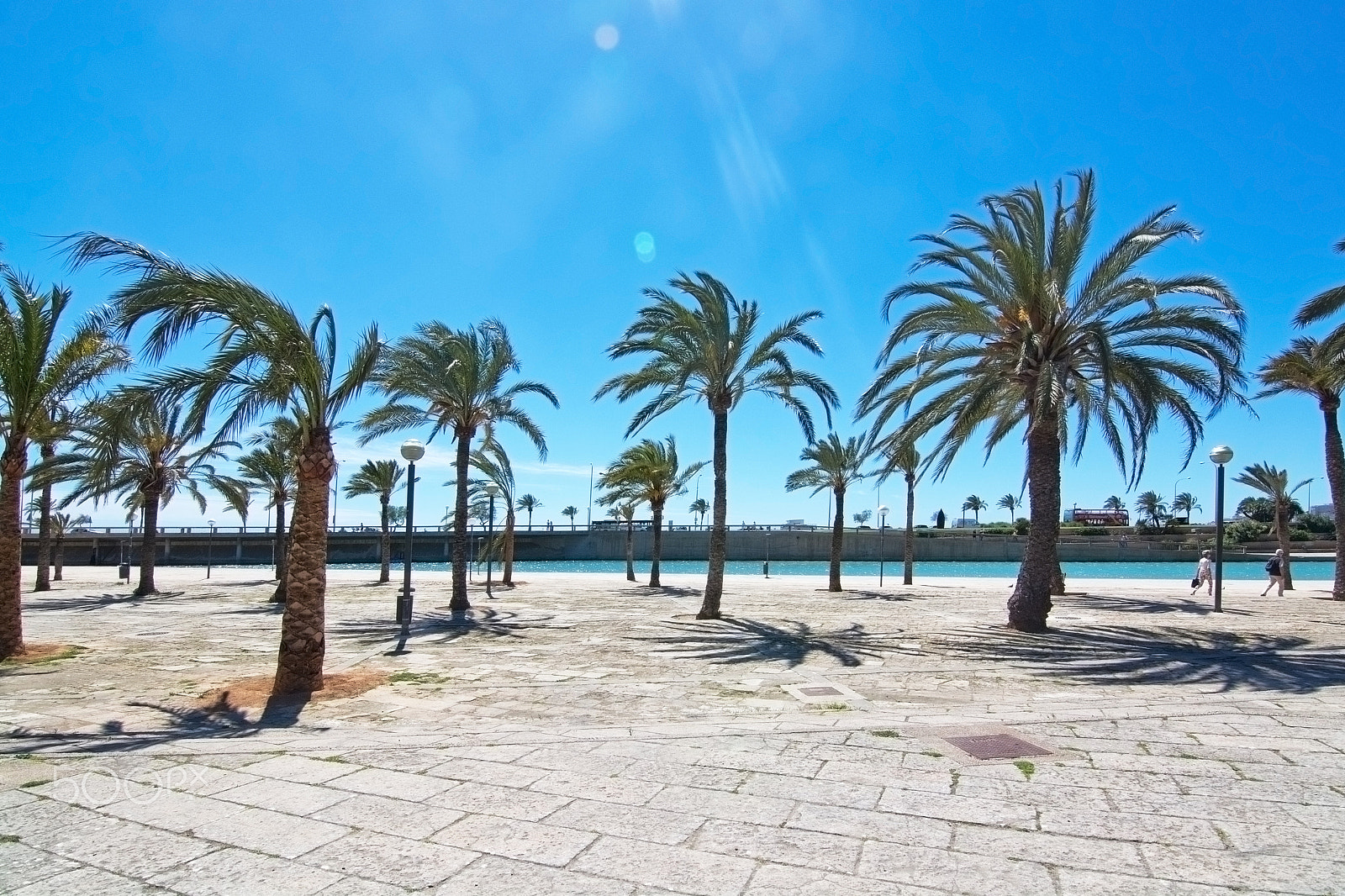 AF Zoom-Nikkor 35-105mm f/3.5-4.5 sample photo. Dalt murada in palma photography