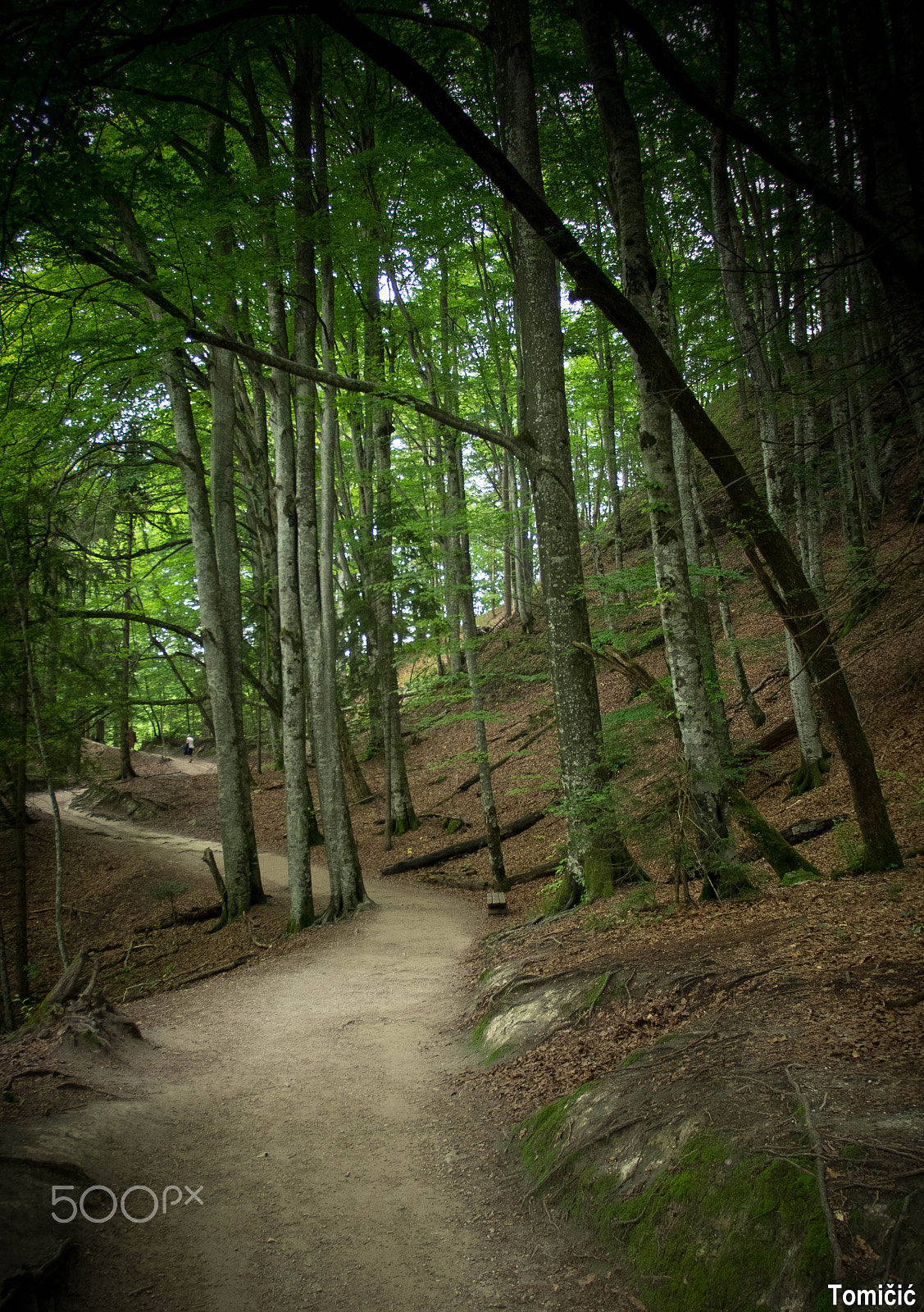Pentax smc DA 14mm F2.8 ED (IF) sample photo. Nature photography