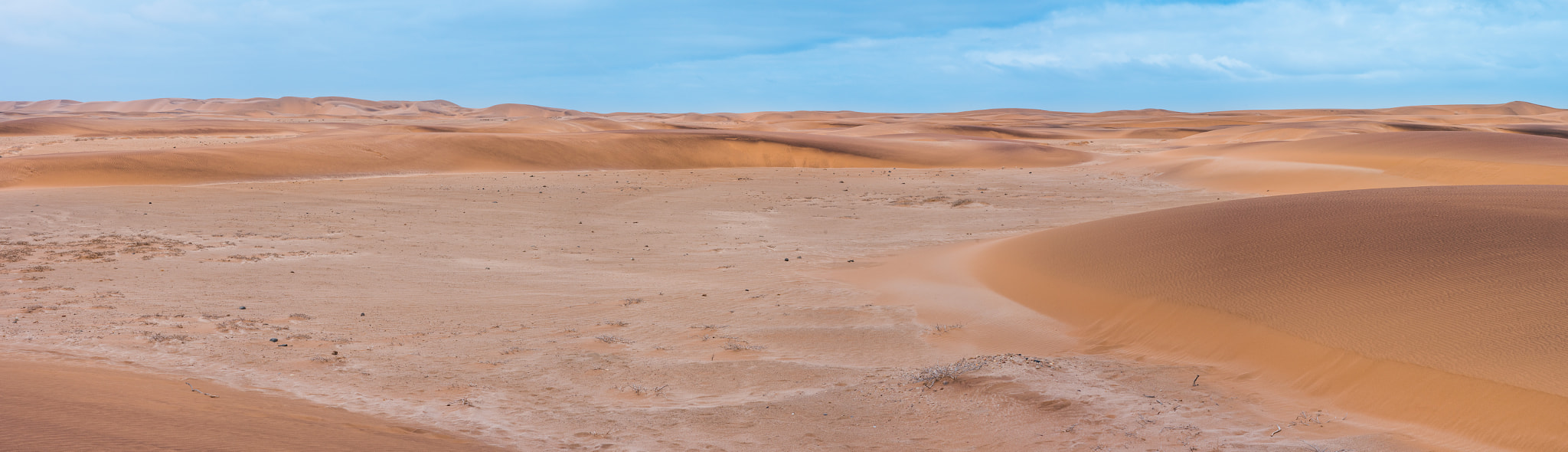 Pentax smc DA 70mm F2.4 AL Limited sample photo. Namib desert photography